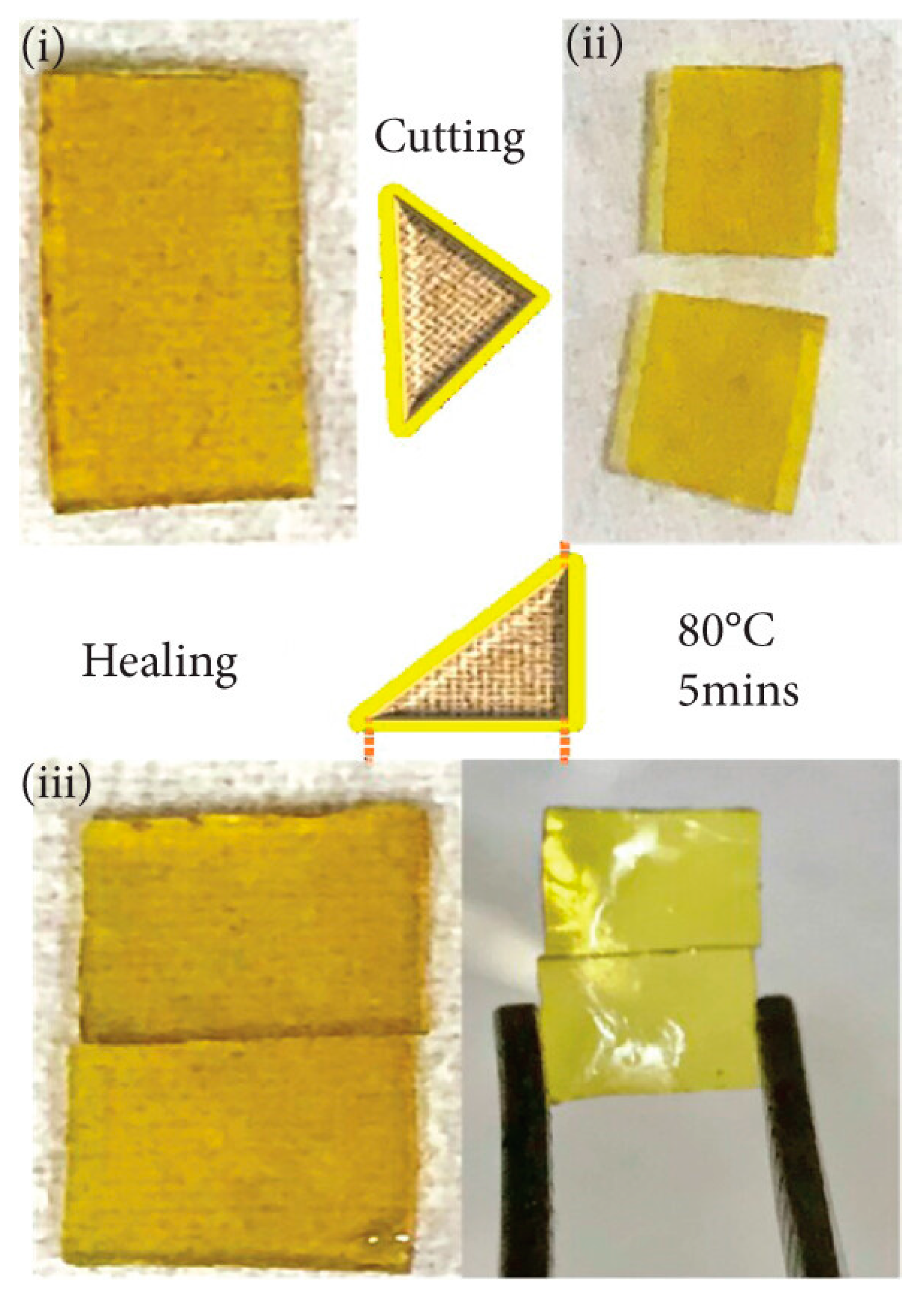 Polymers 17 00373 g005