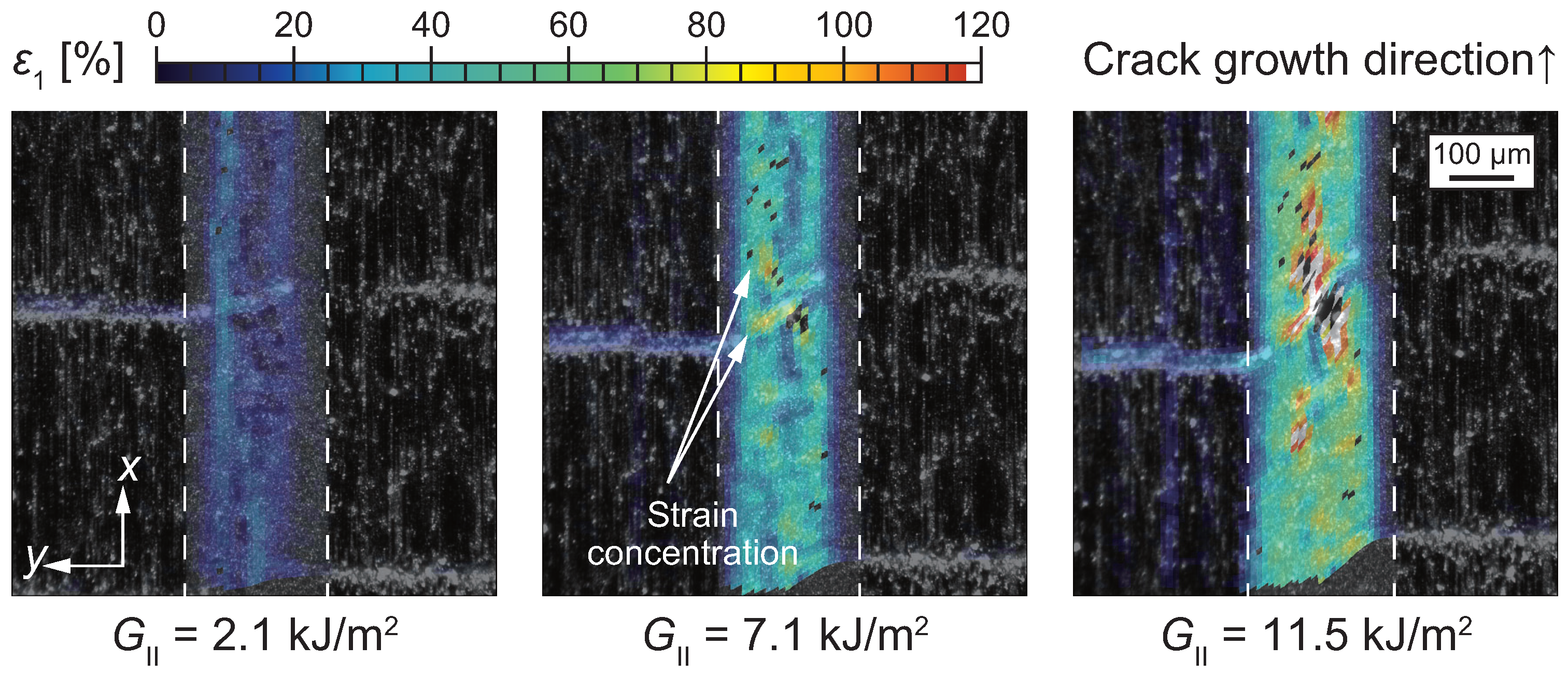 Polymers 17 00377 g008