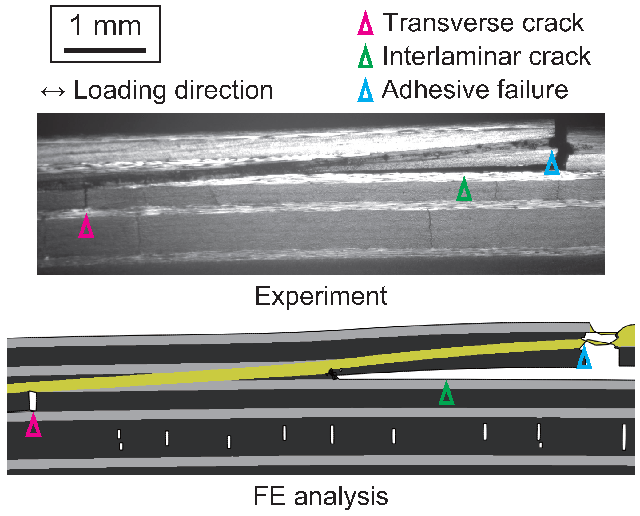 Polymers 17 00377 g015