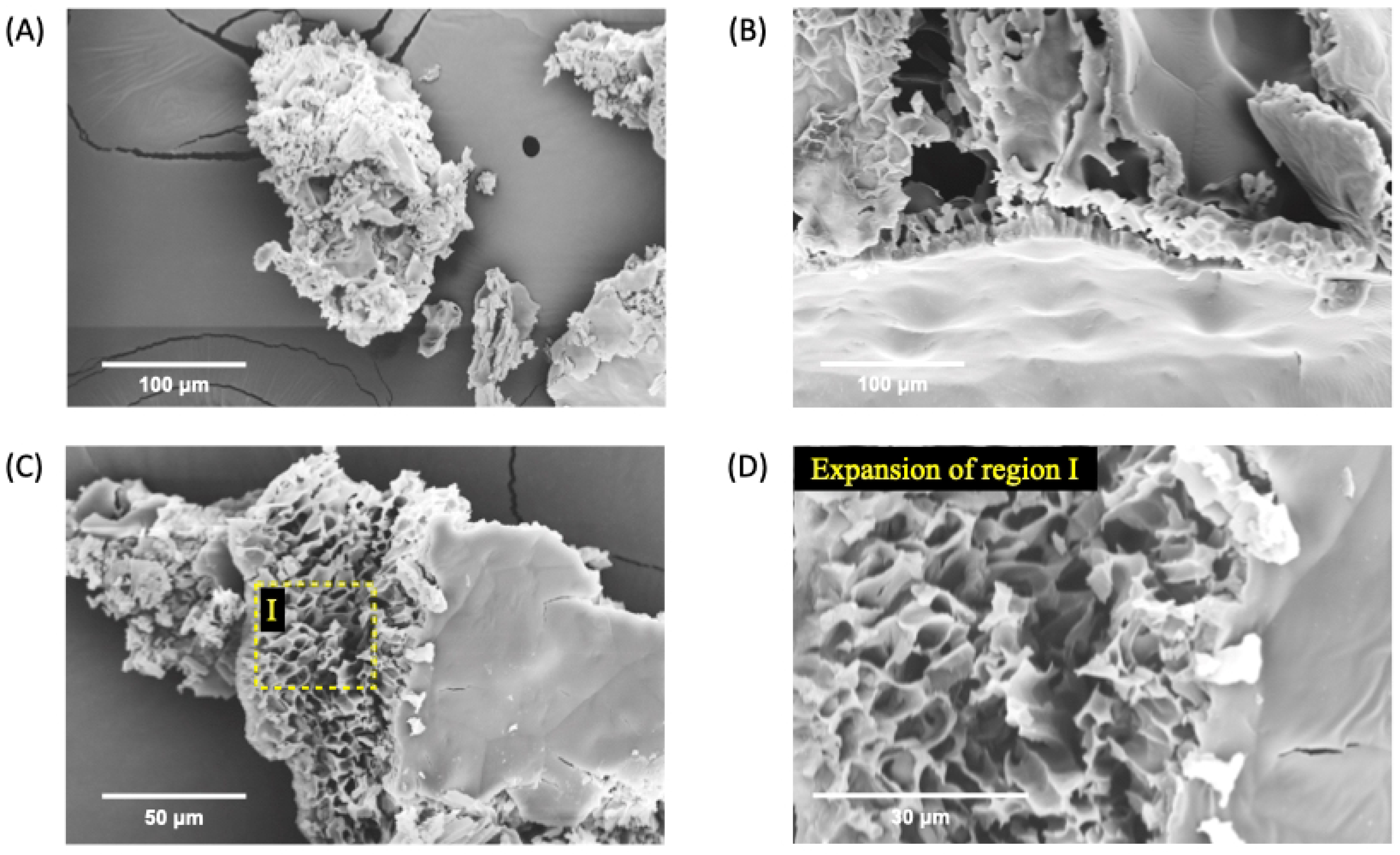 Polymers 17 00379 g005