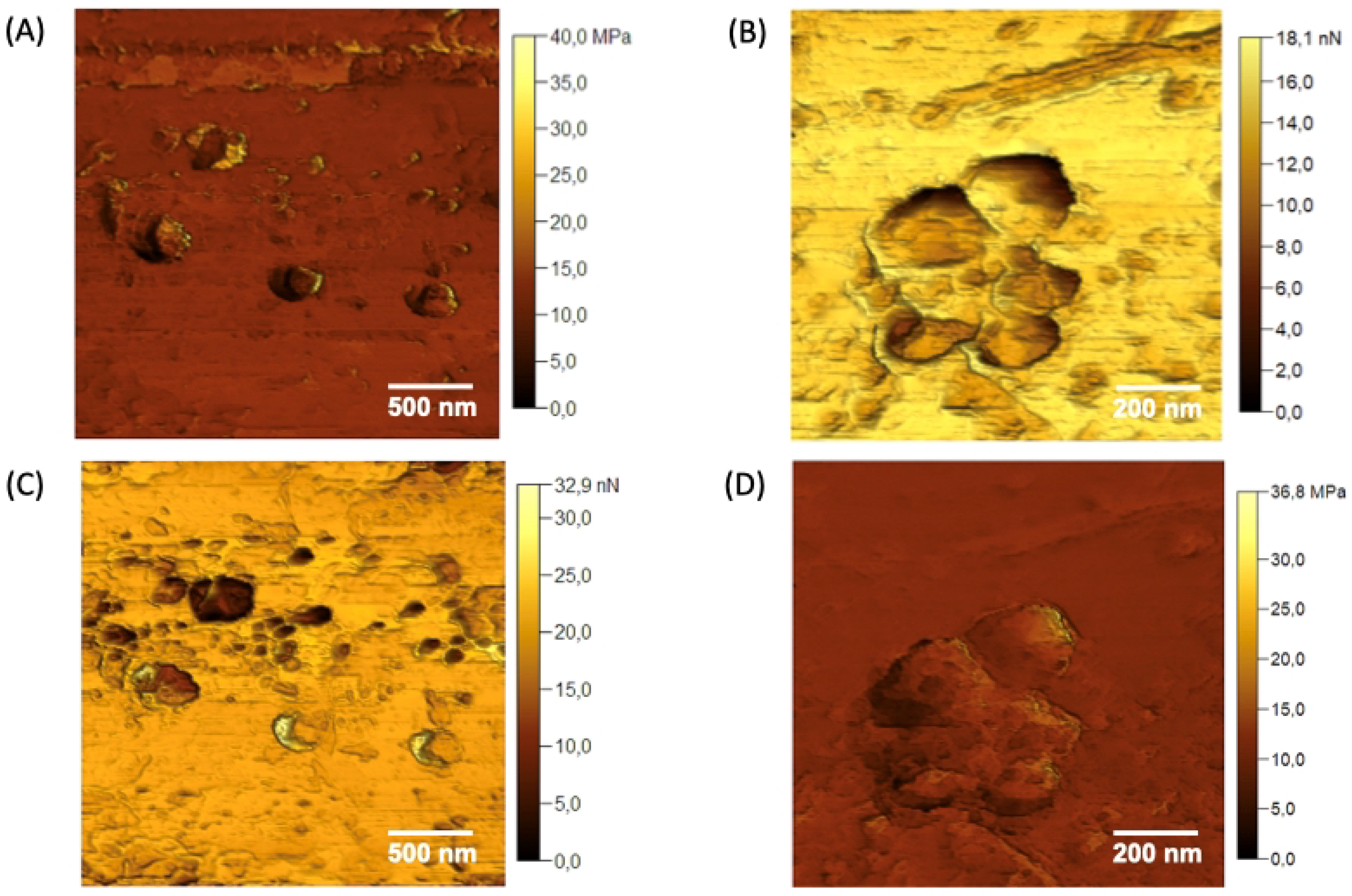 Polymers 17 00379 g009