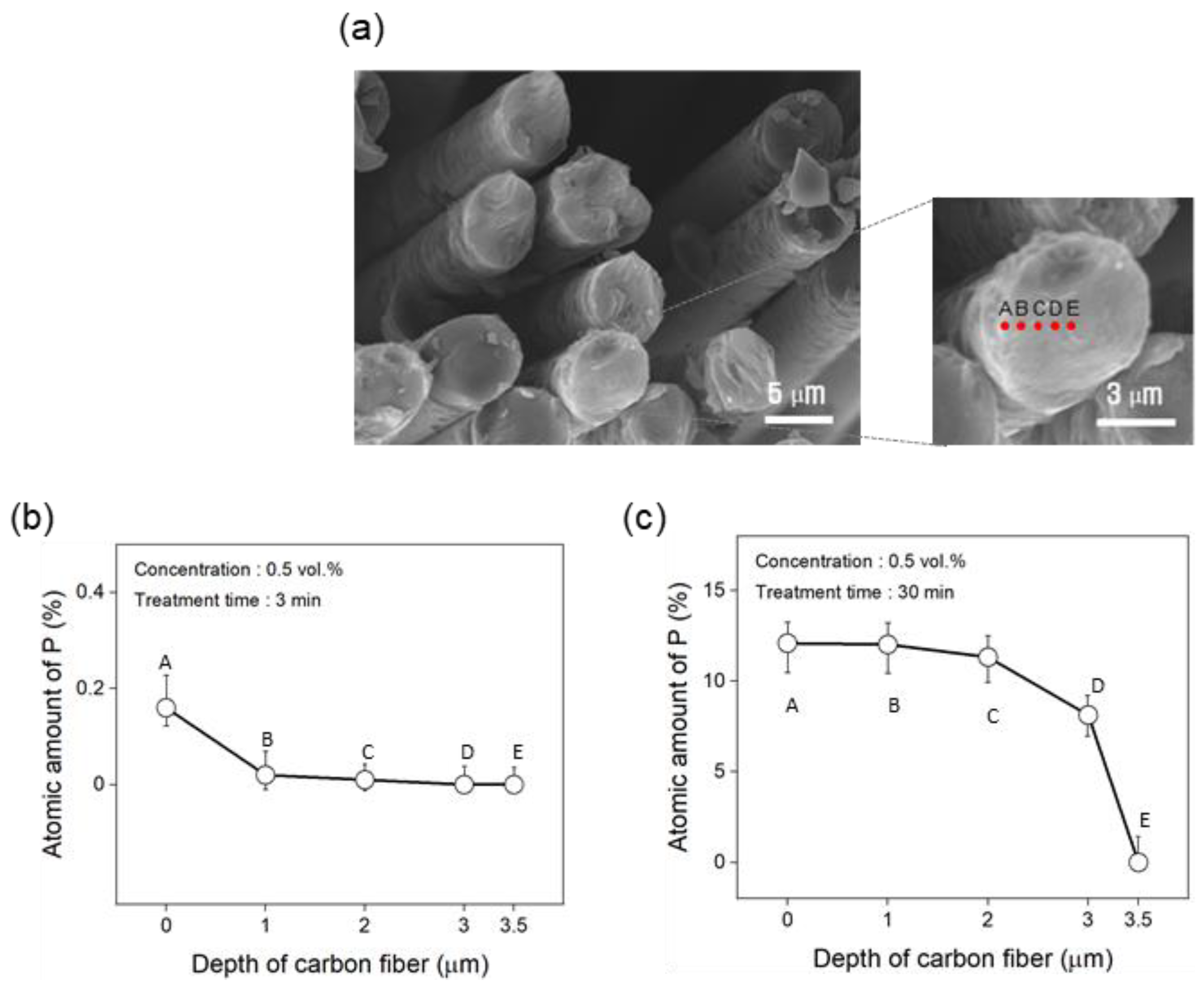 Polymers 17 00381 g006