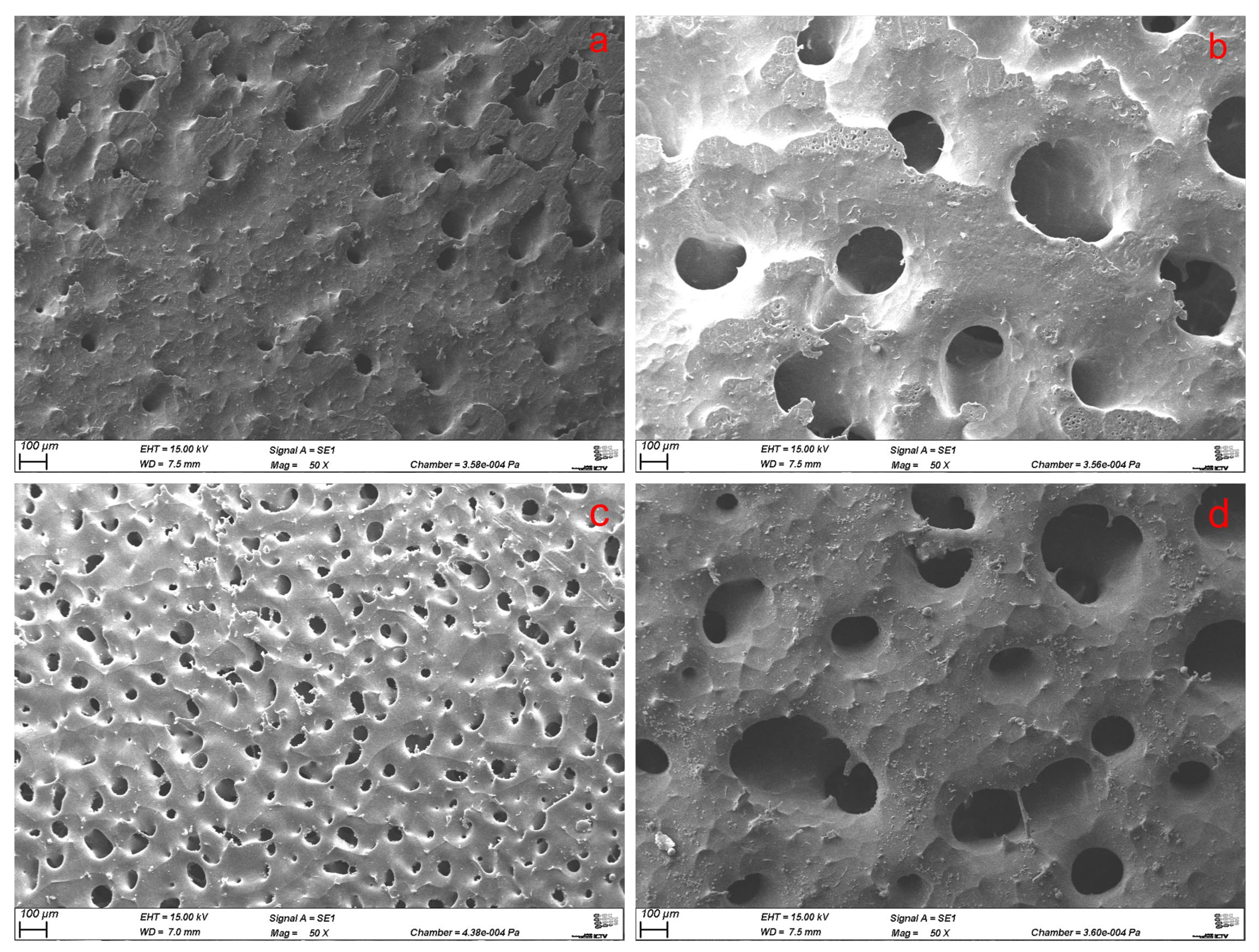 Polymers 17 00383 g001