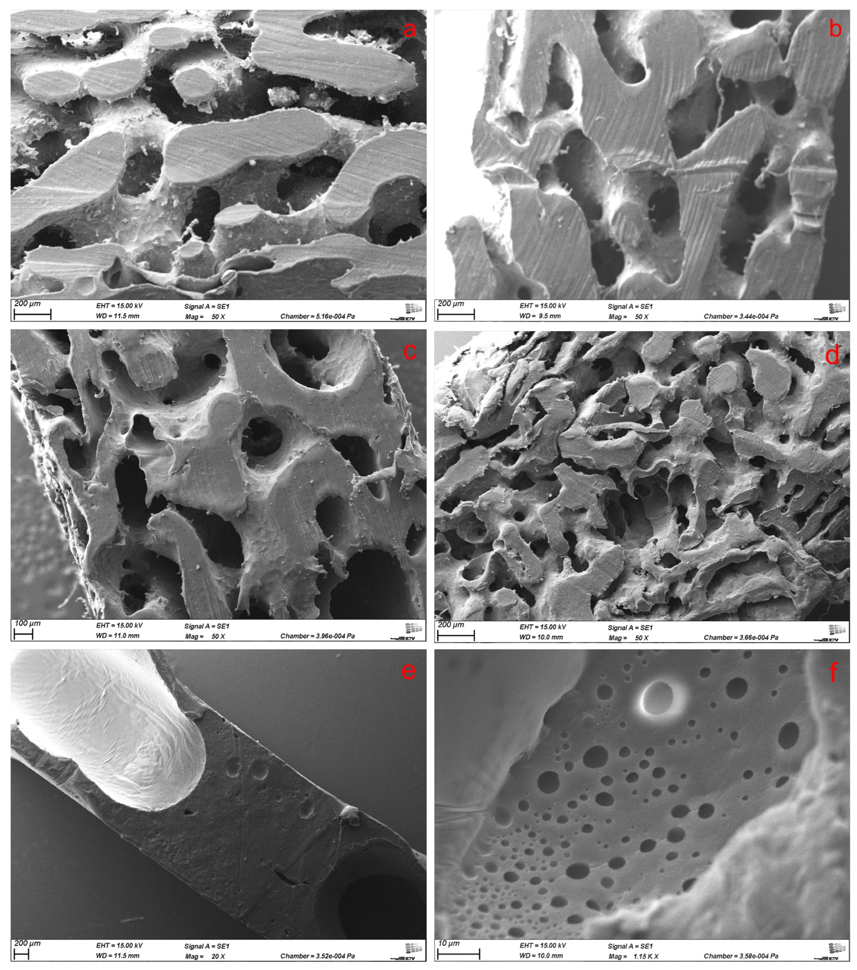 Polymers 17 00383 g002