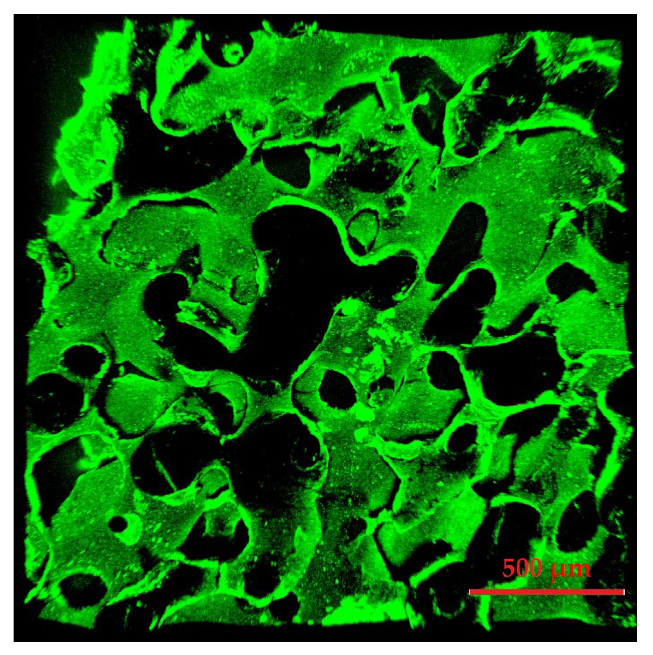 Polymers 17 00383 g008