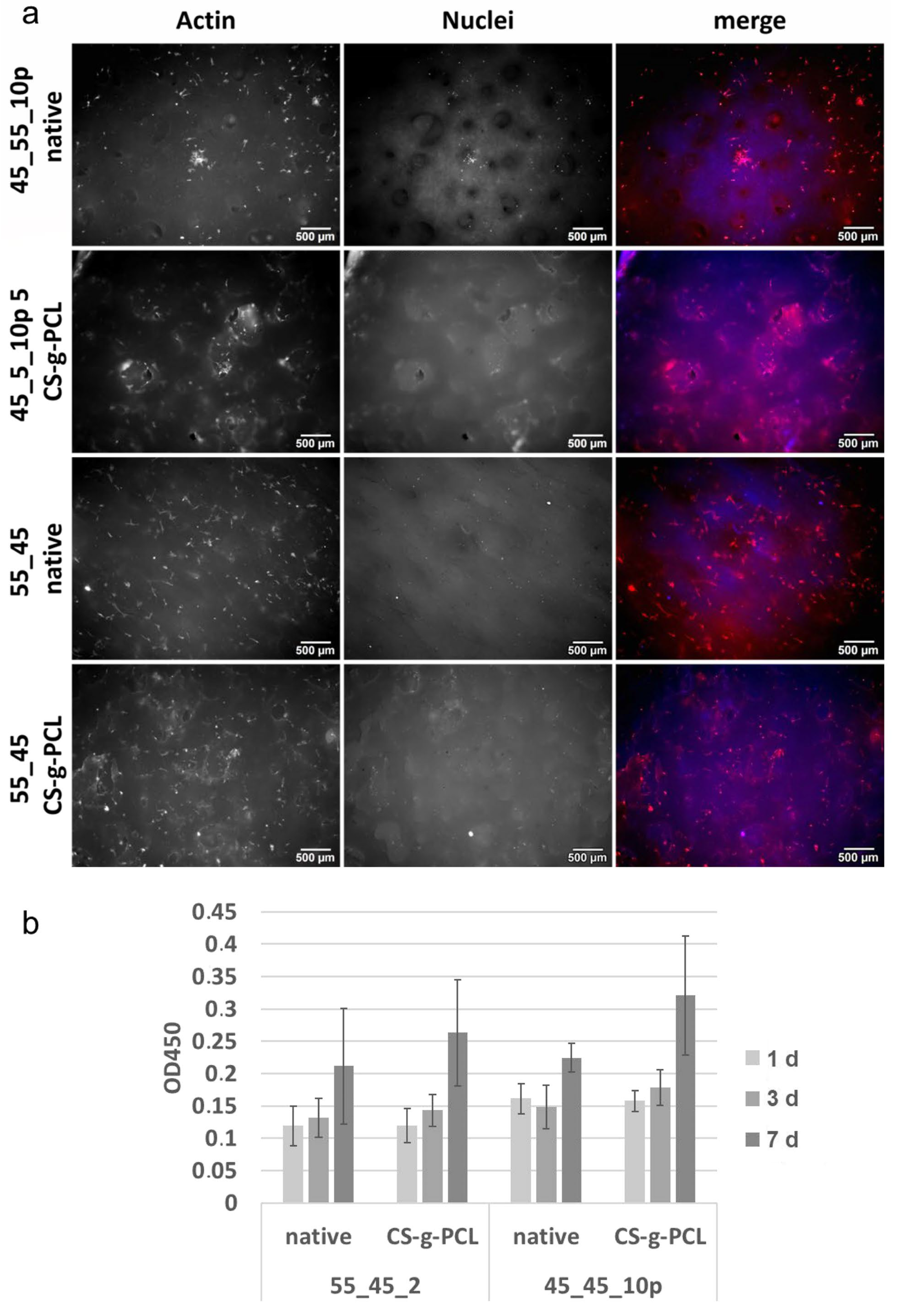 Polymers 17 00383 g011