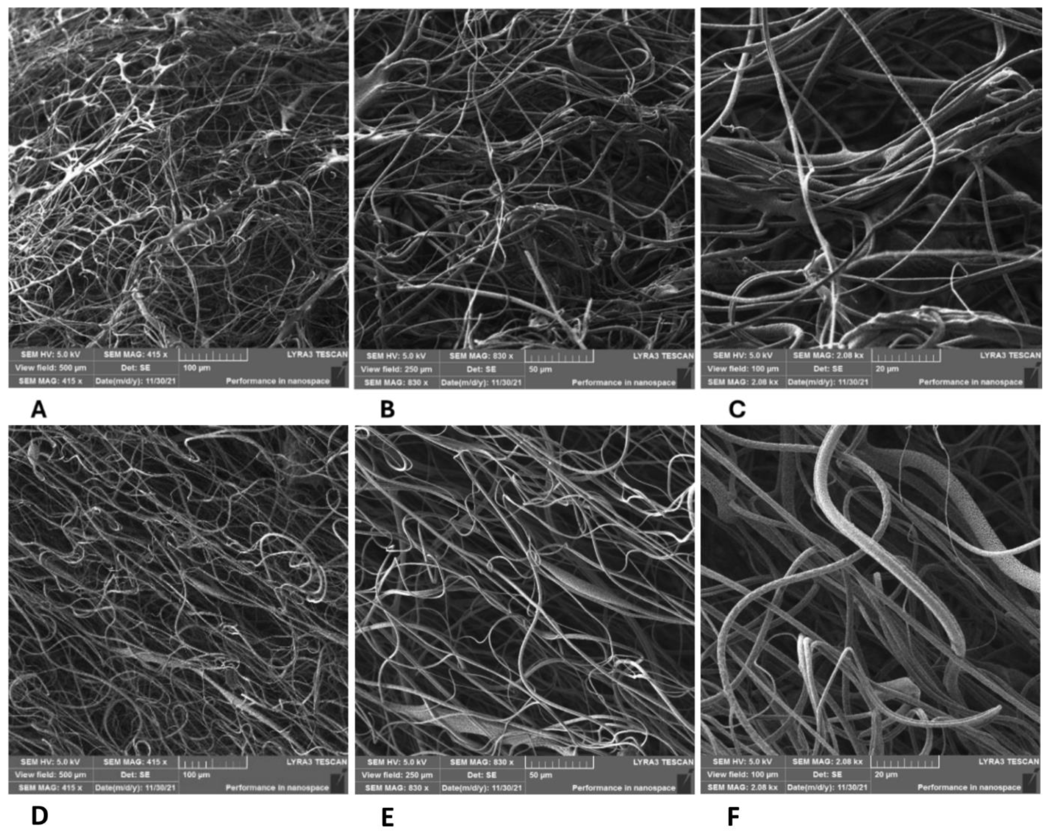 Polymers 17 00386 g004