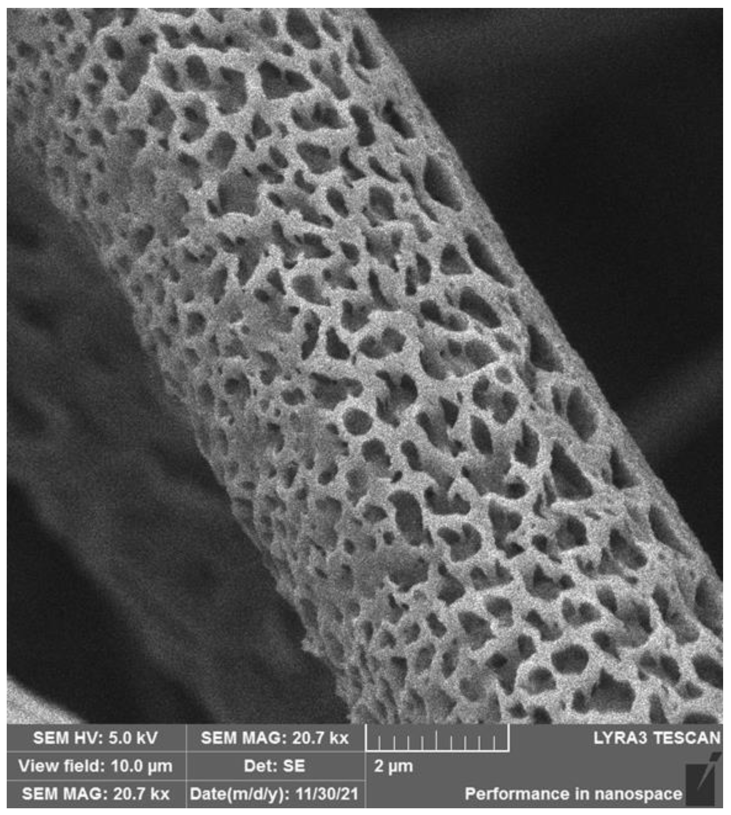 Polymers 17 00386 g007