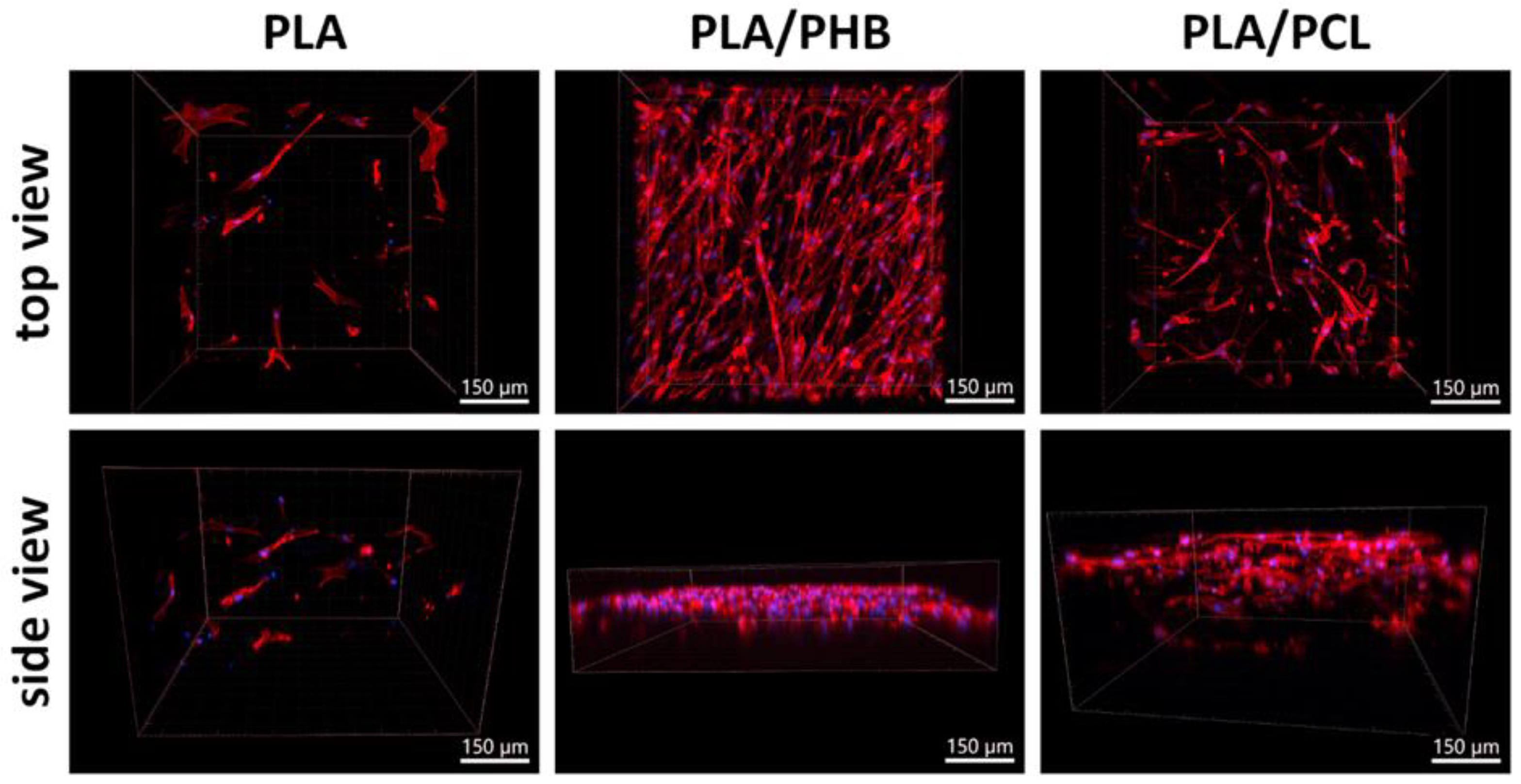 Polymers 17 00386 g010