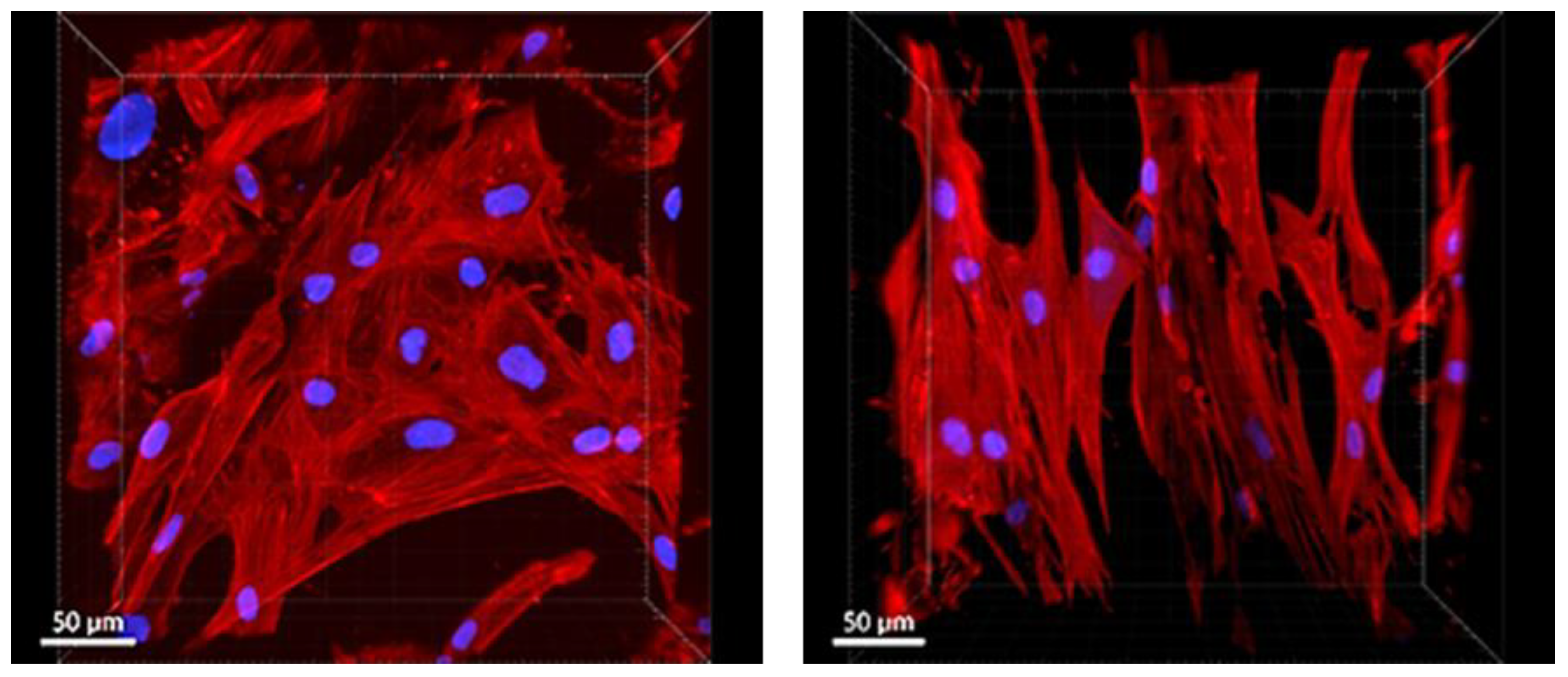 Polymers 17 00386 g014