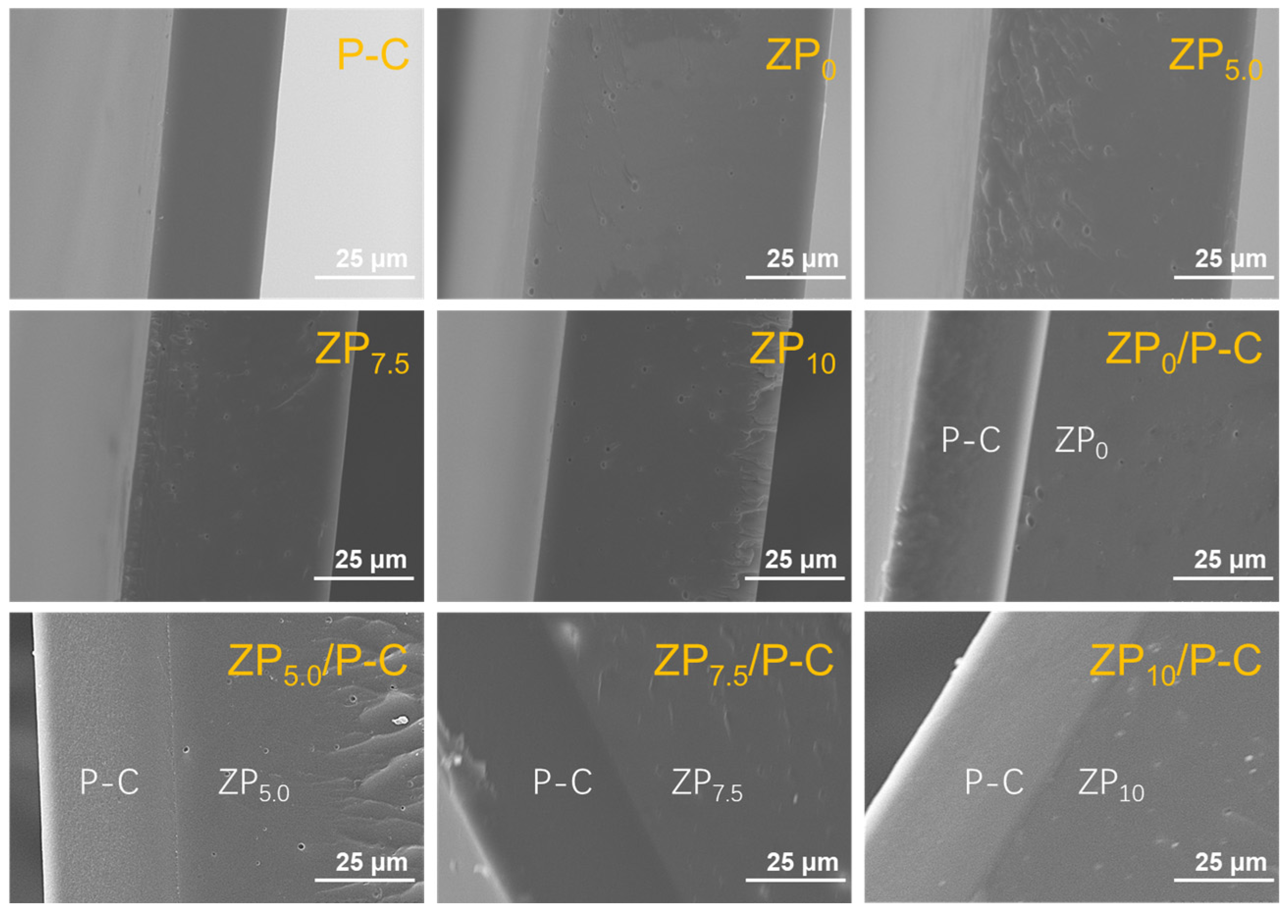 Polymers 17 00387 g002