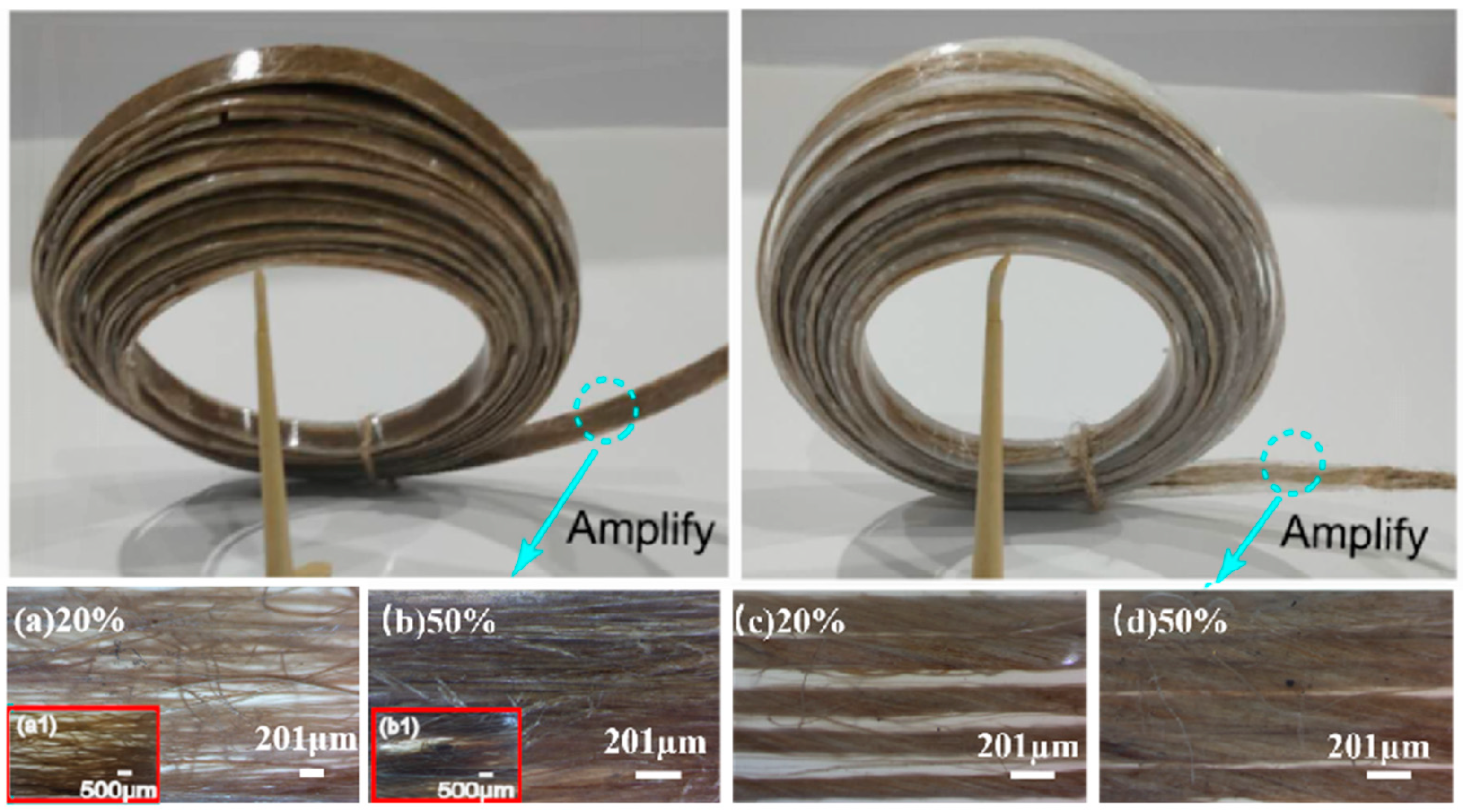 Polymers 17 00388 g005