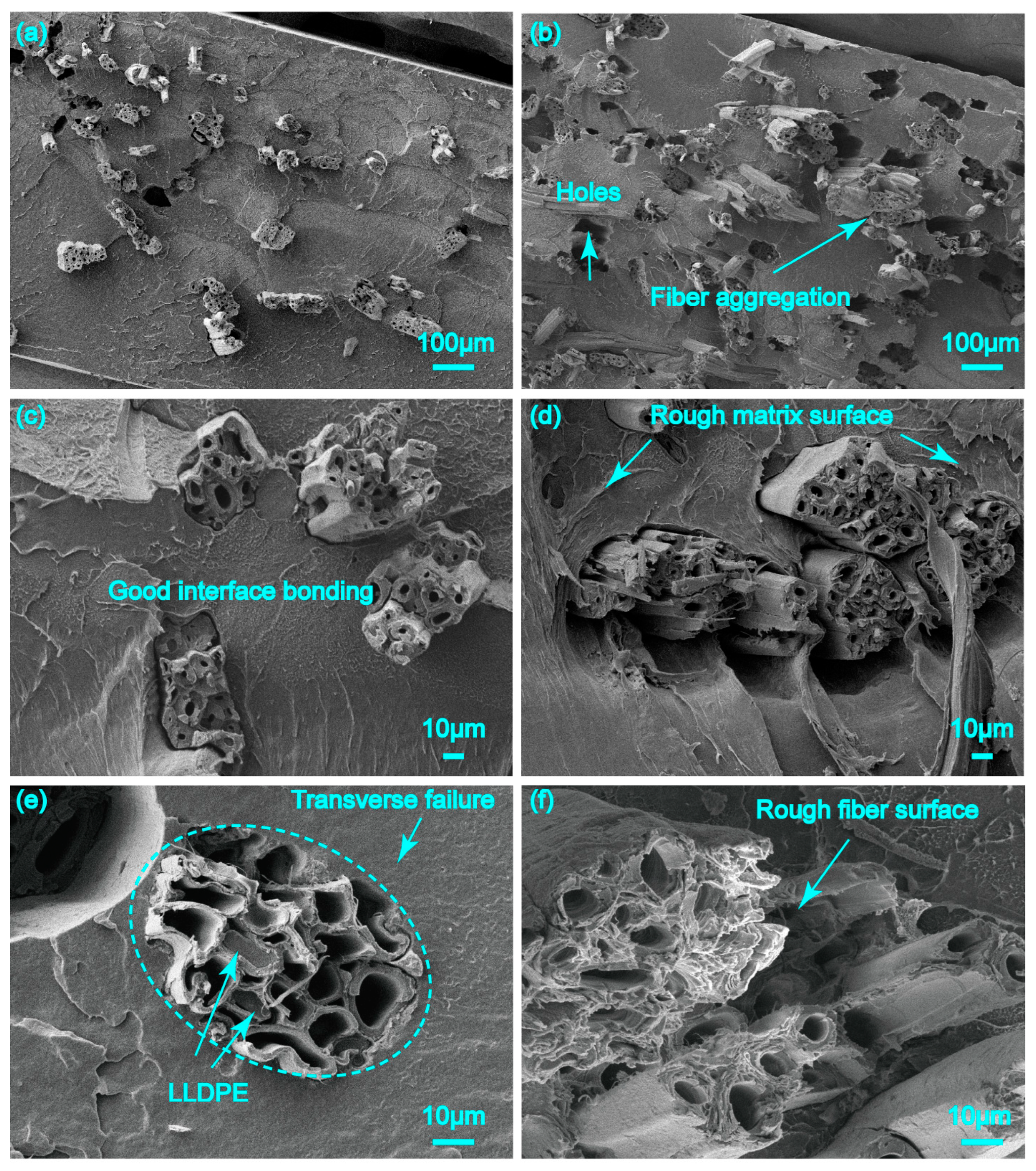 Polymers 17 00388 g006