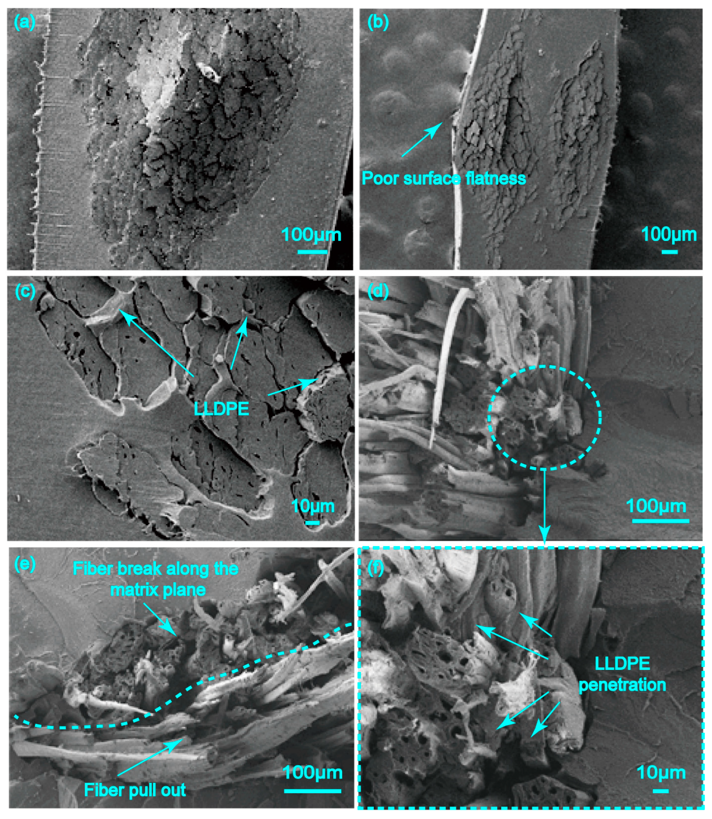 Polymers 17 00388 g007