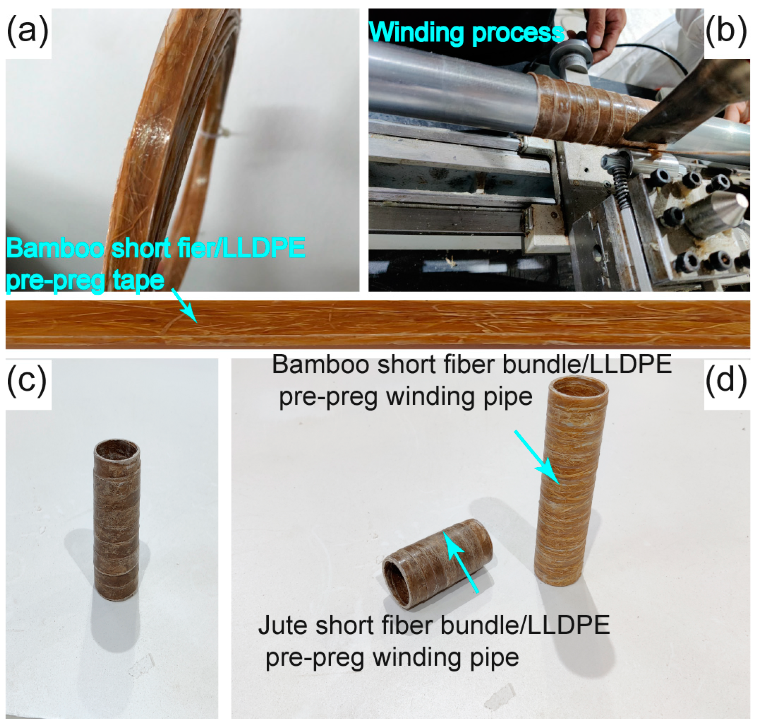 Polymers 17 00388 g012