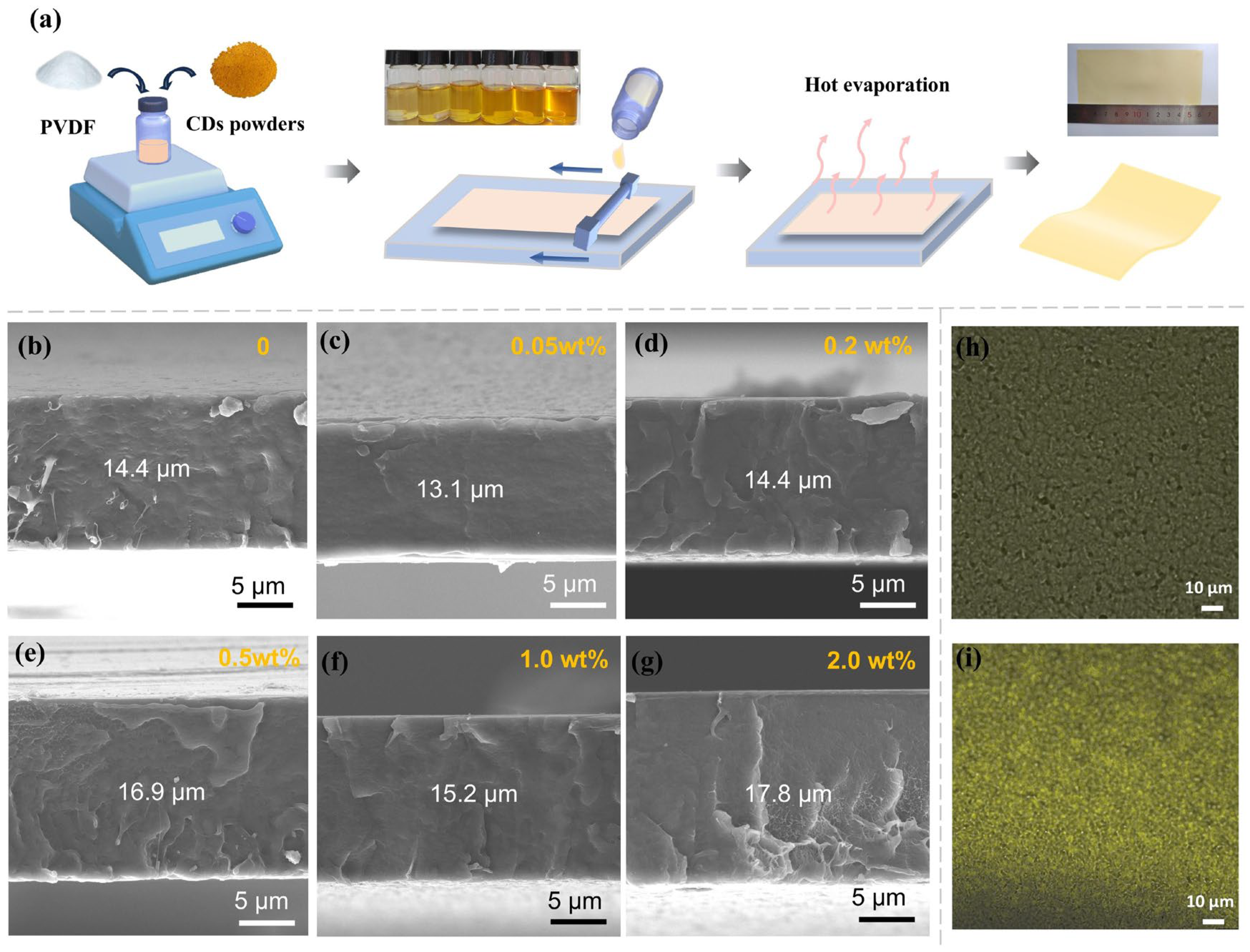 Polymers 17 00390 g002