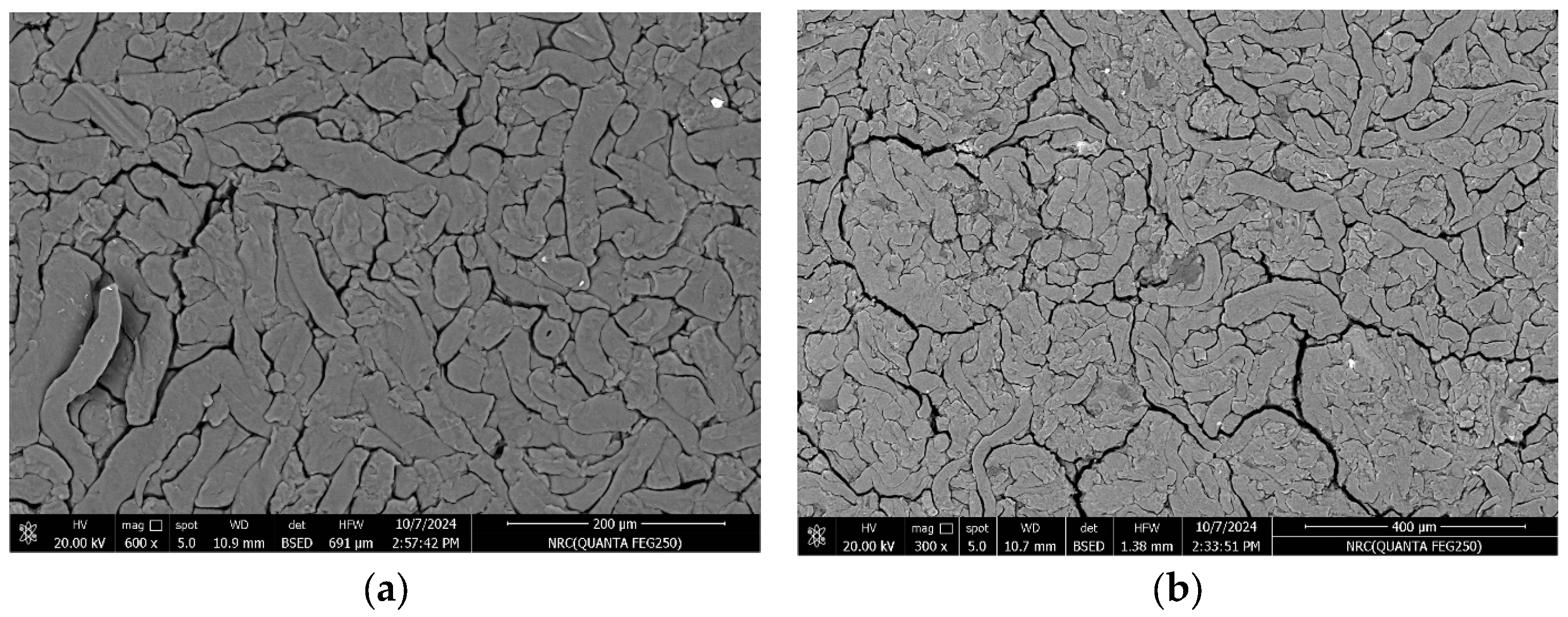 Polymers 17 00391 g001a