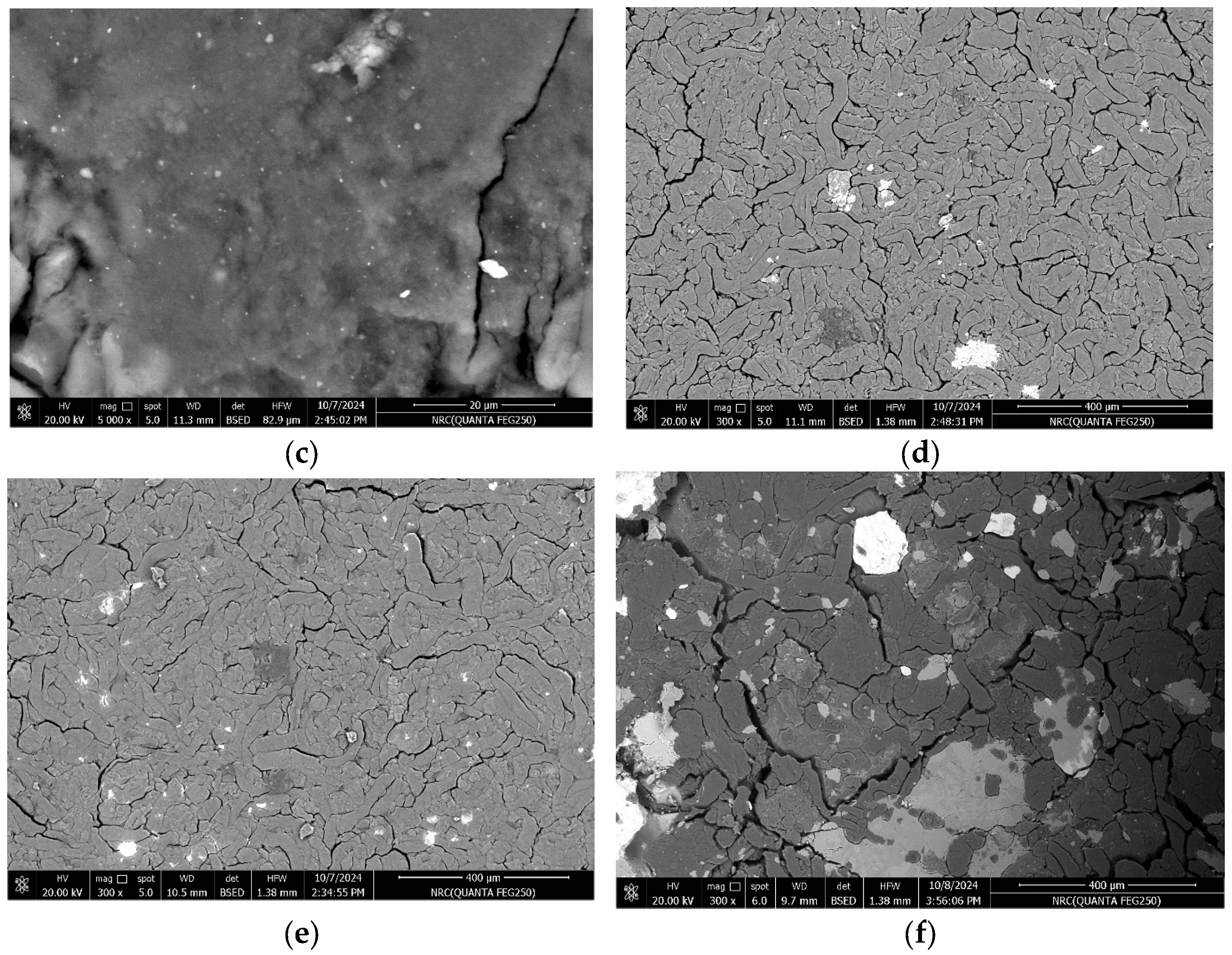 Polymers 17 00391 g001b