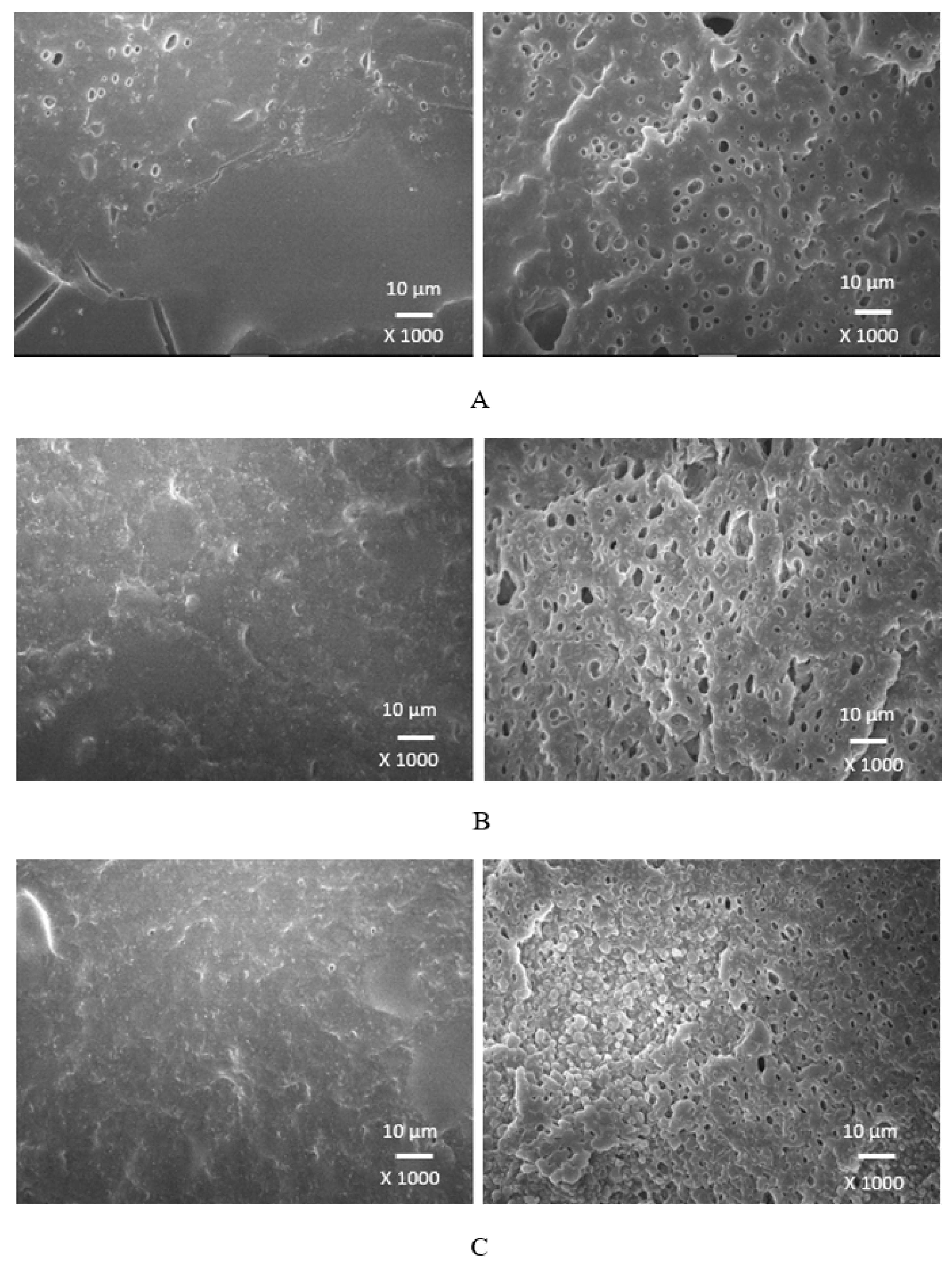 Polymers 17 00393 g014
