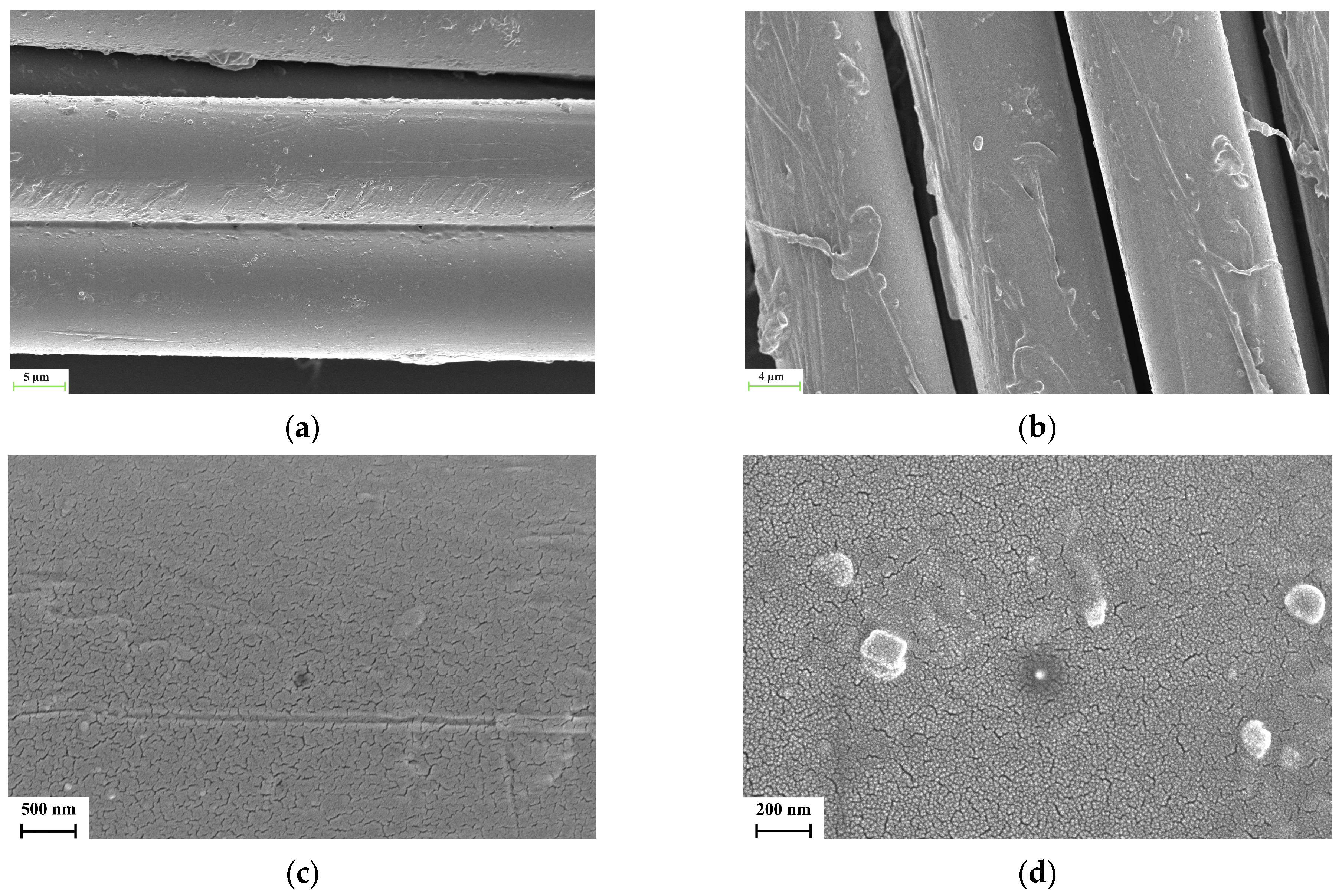 Polymers 17 00397 g012