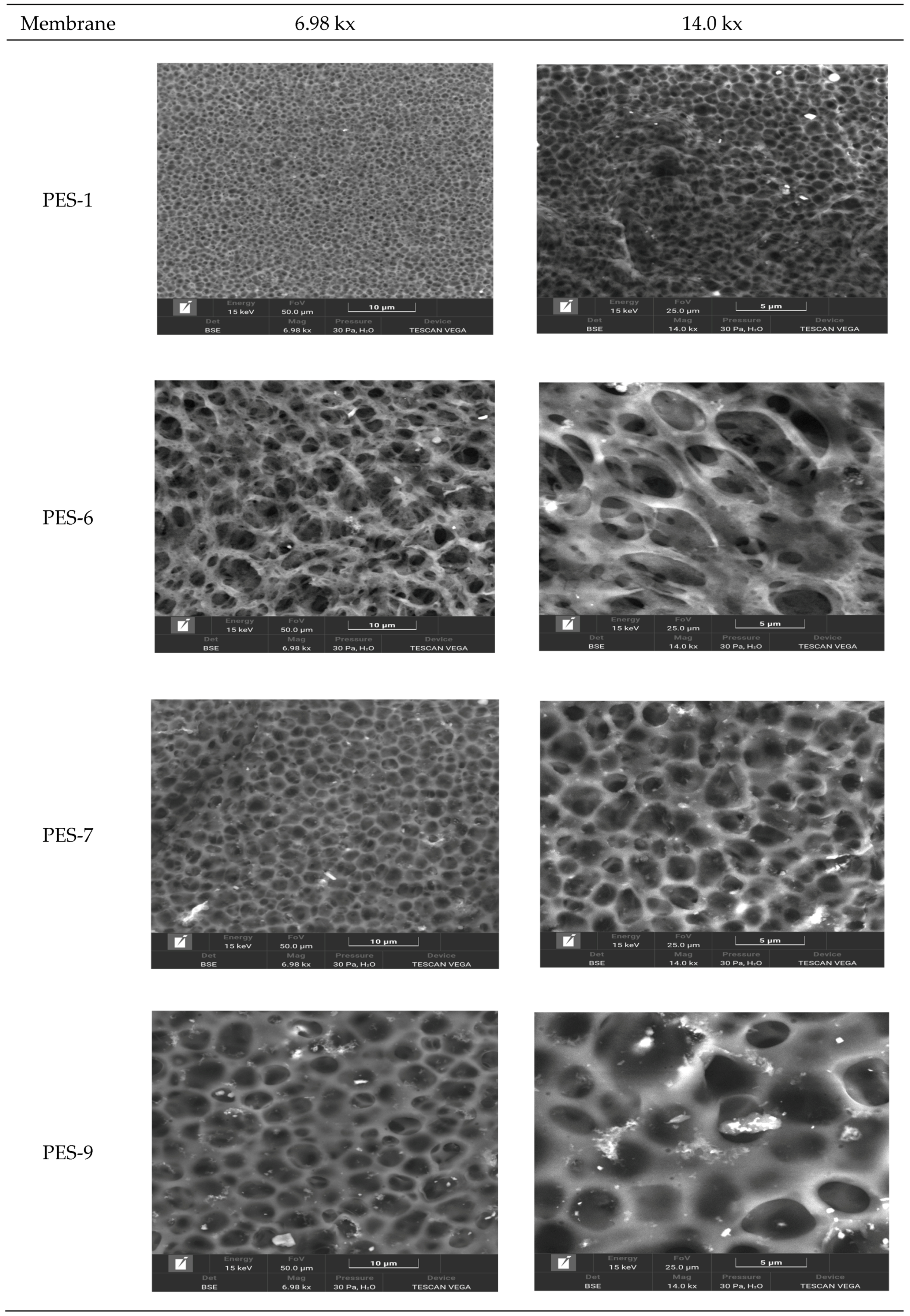 Polymers 17 00398 g004
