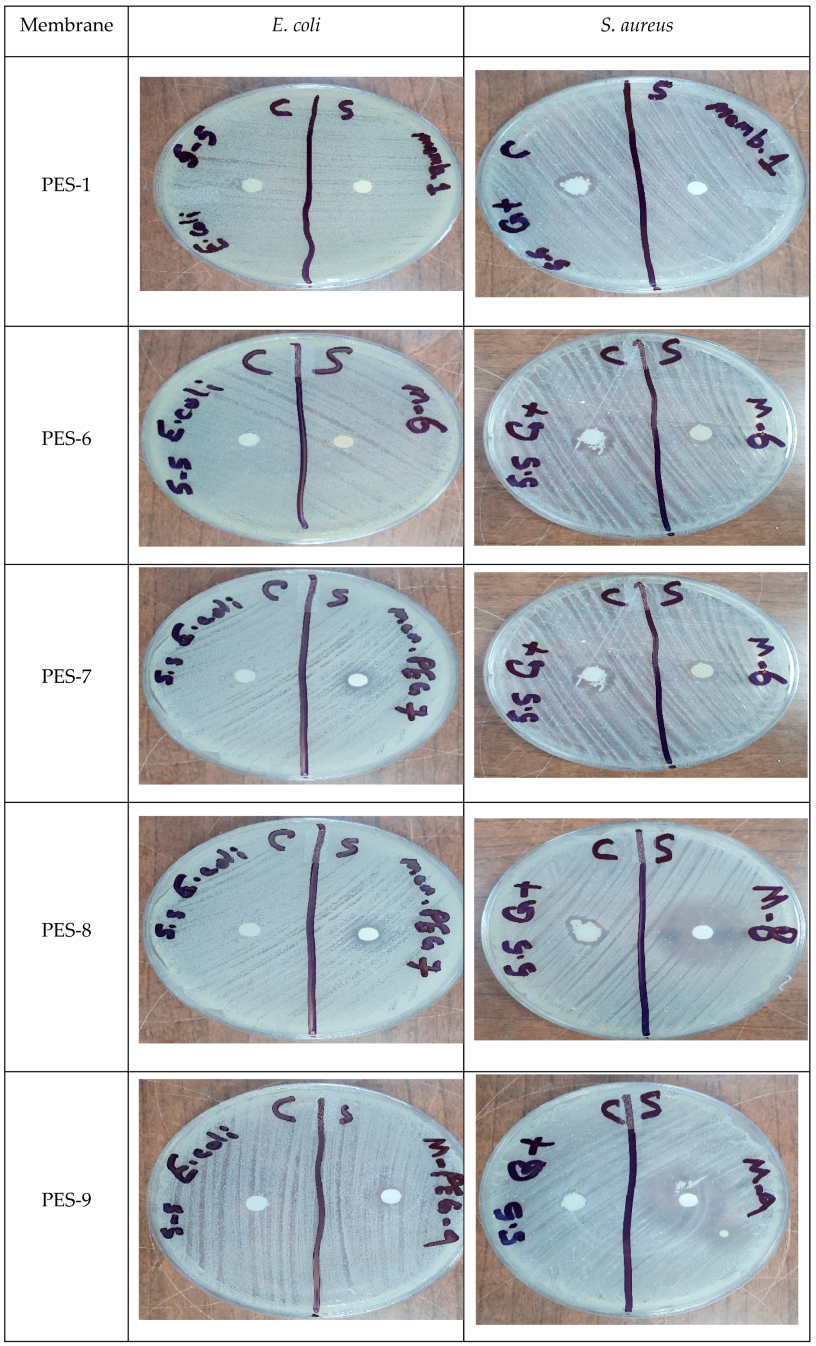Polymers 17 00398 g017