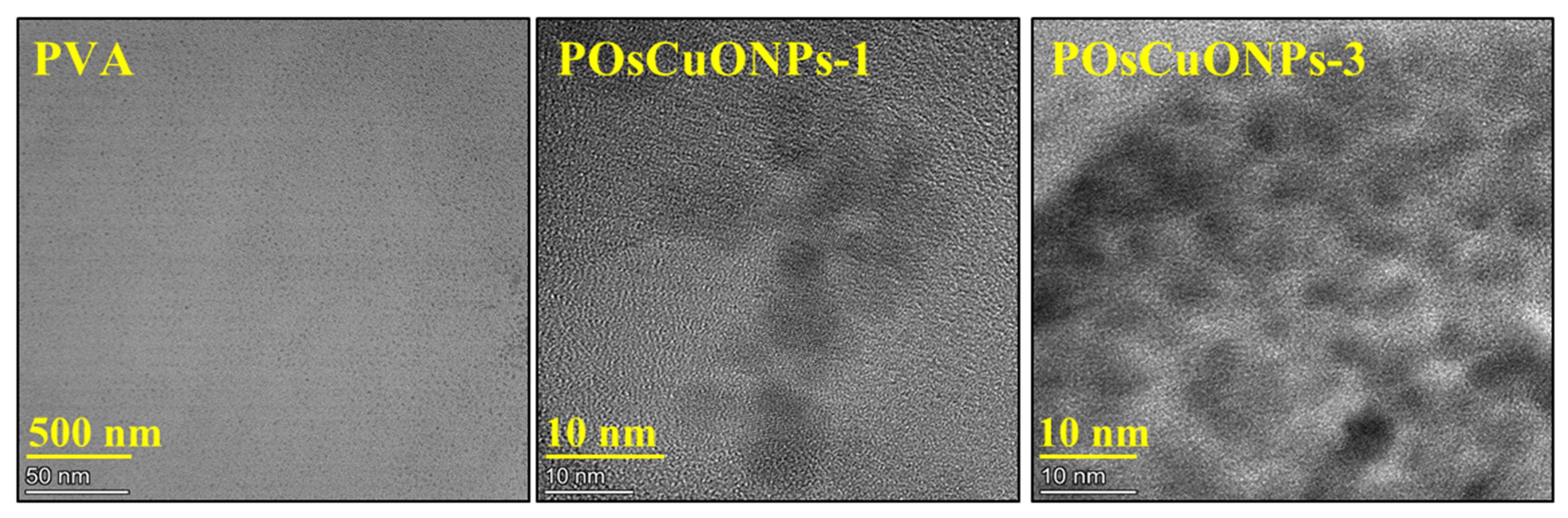 Polymers 17 00400 g005