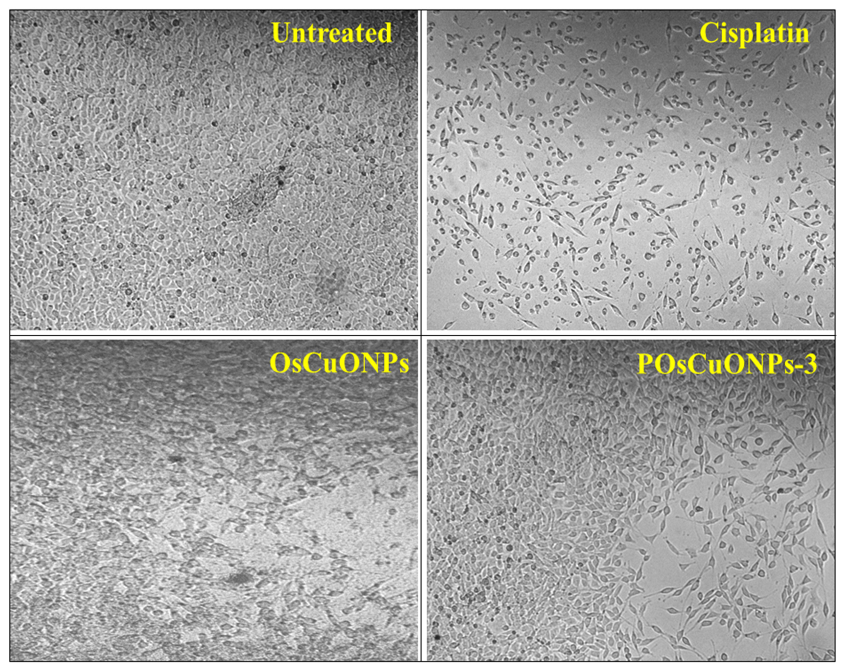 Polymers 17 00400 g009