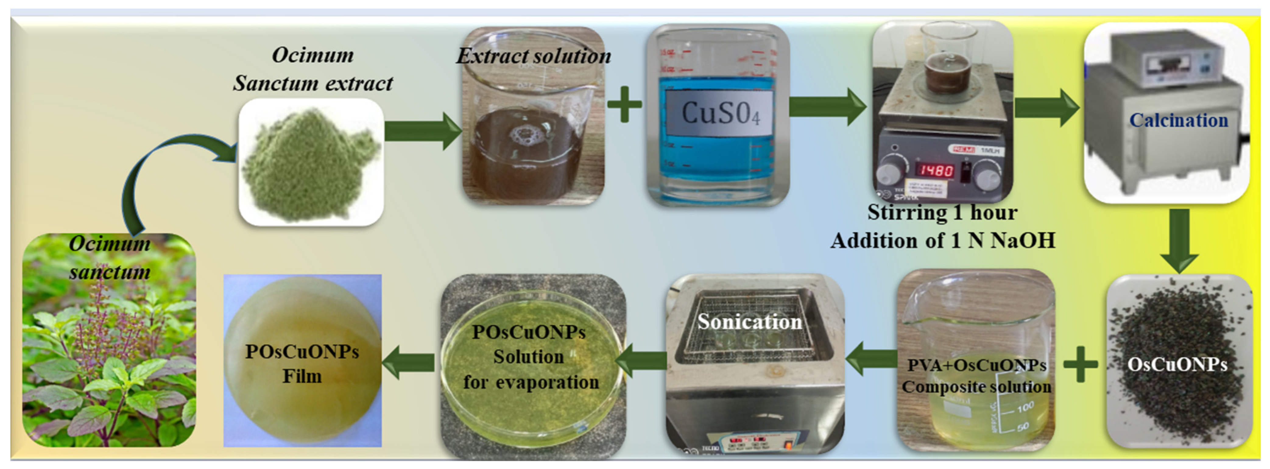 Polymers 17 00400 sch001