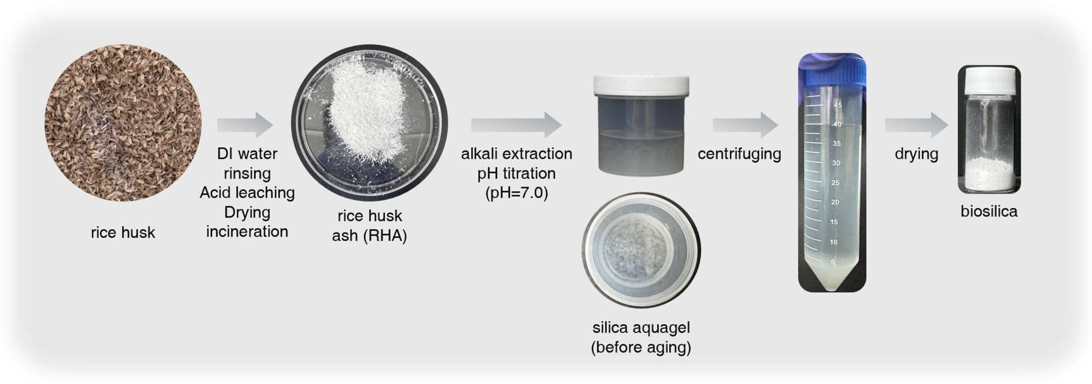 Polymers 17 00406 g001