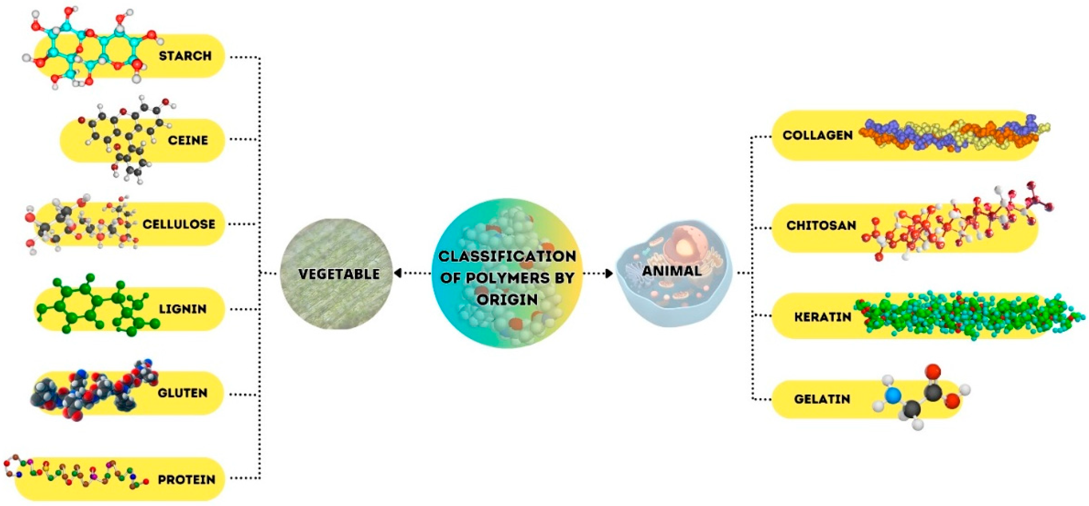 Polymers 17 00408 g001