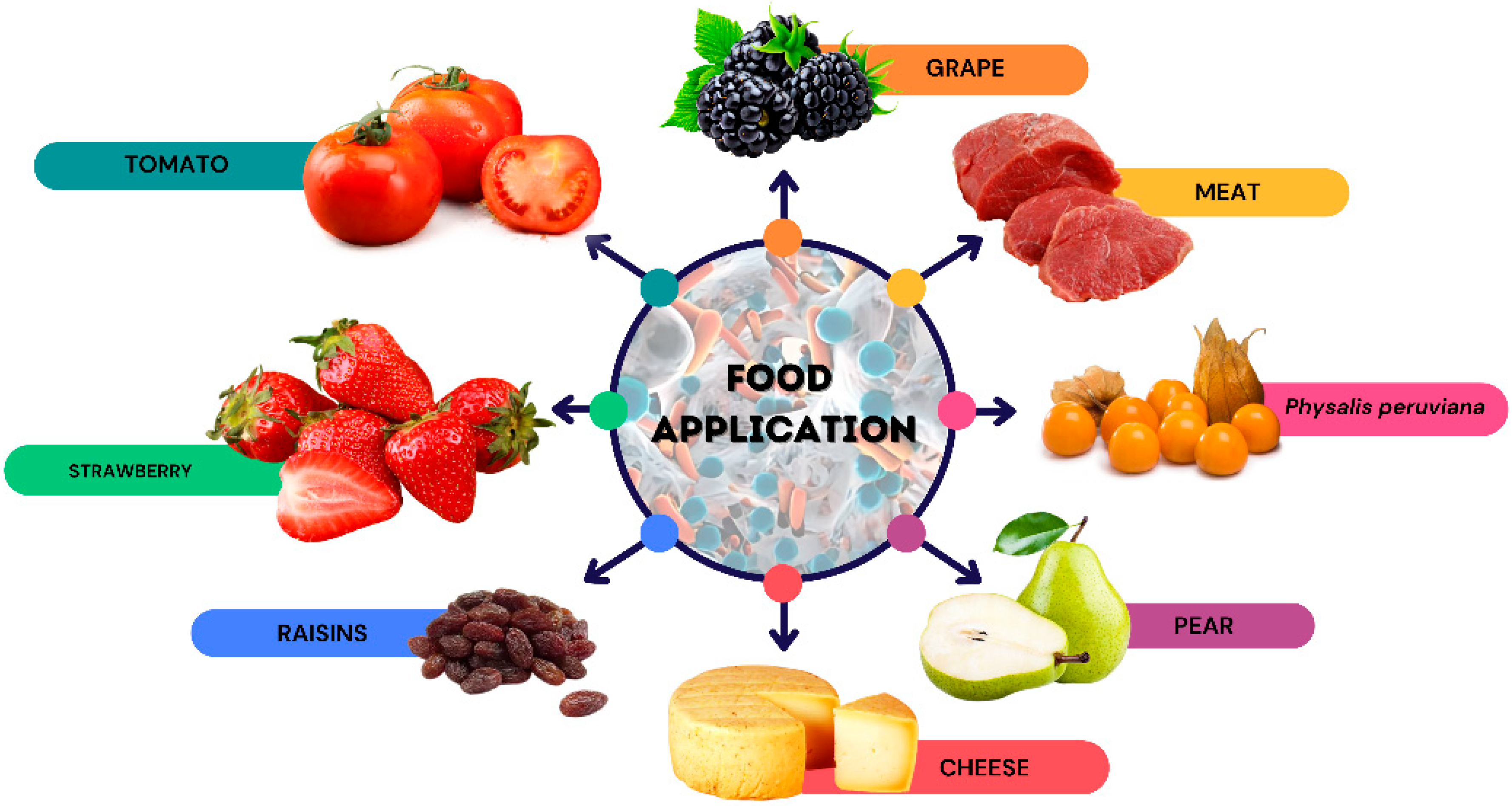 Polymers 17 00408 g002