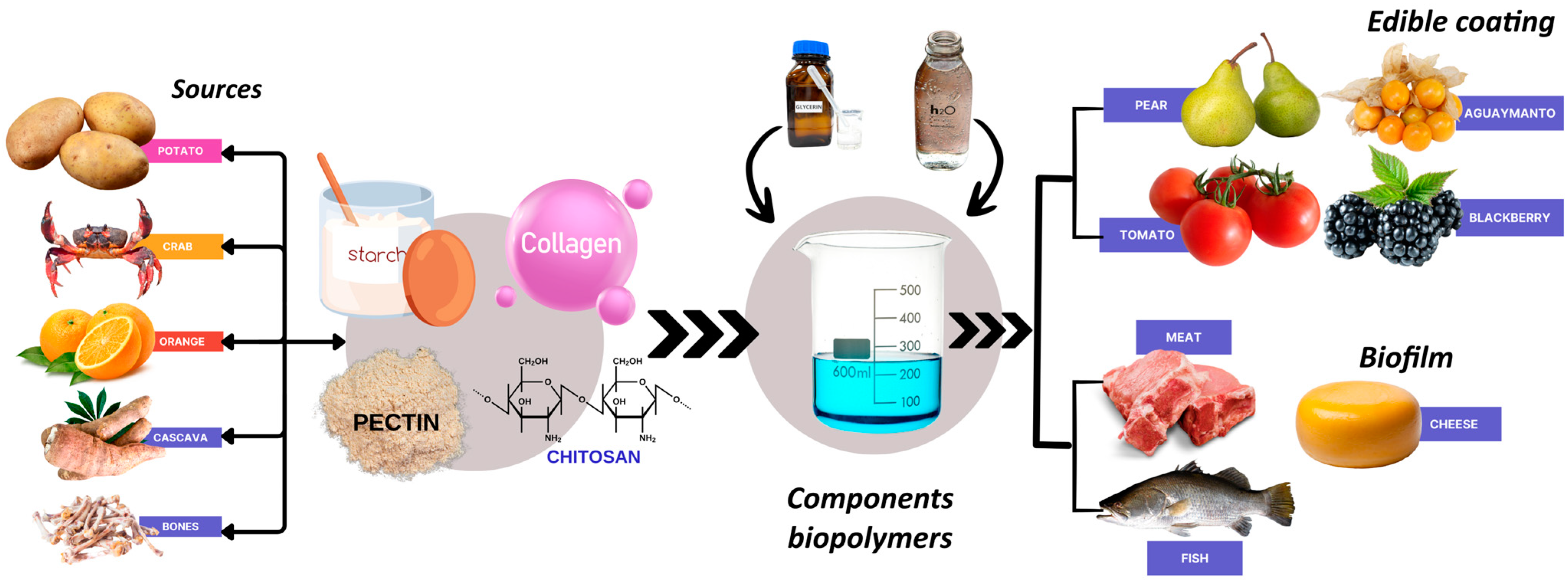 Polymers 17 00408 g003