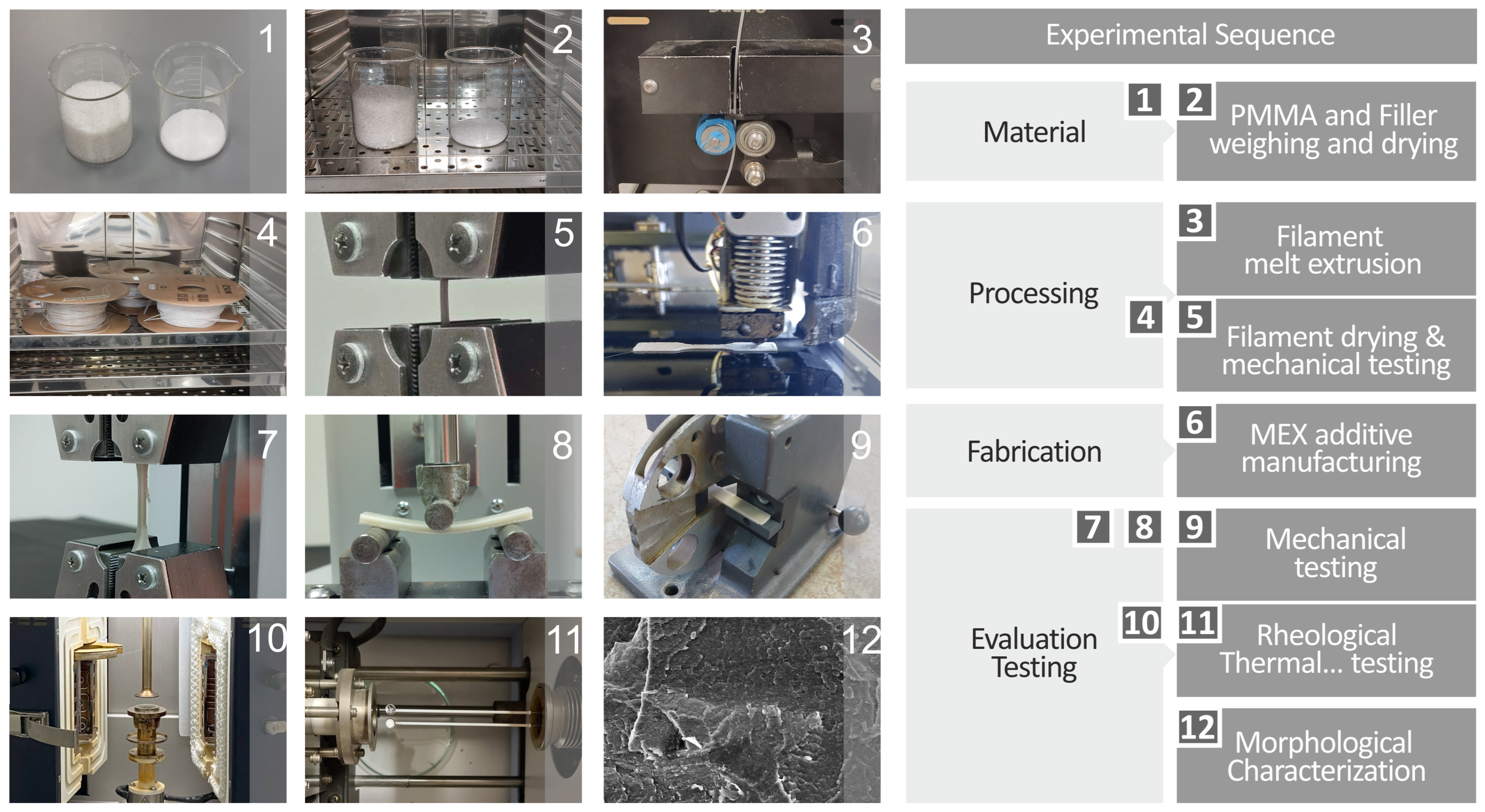 Polymers 17 00410 g001