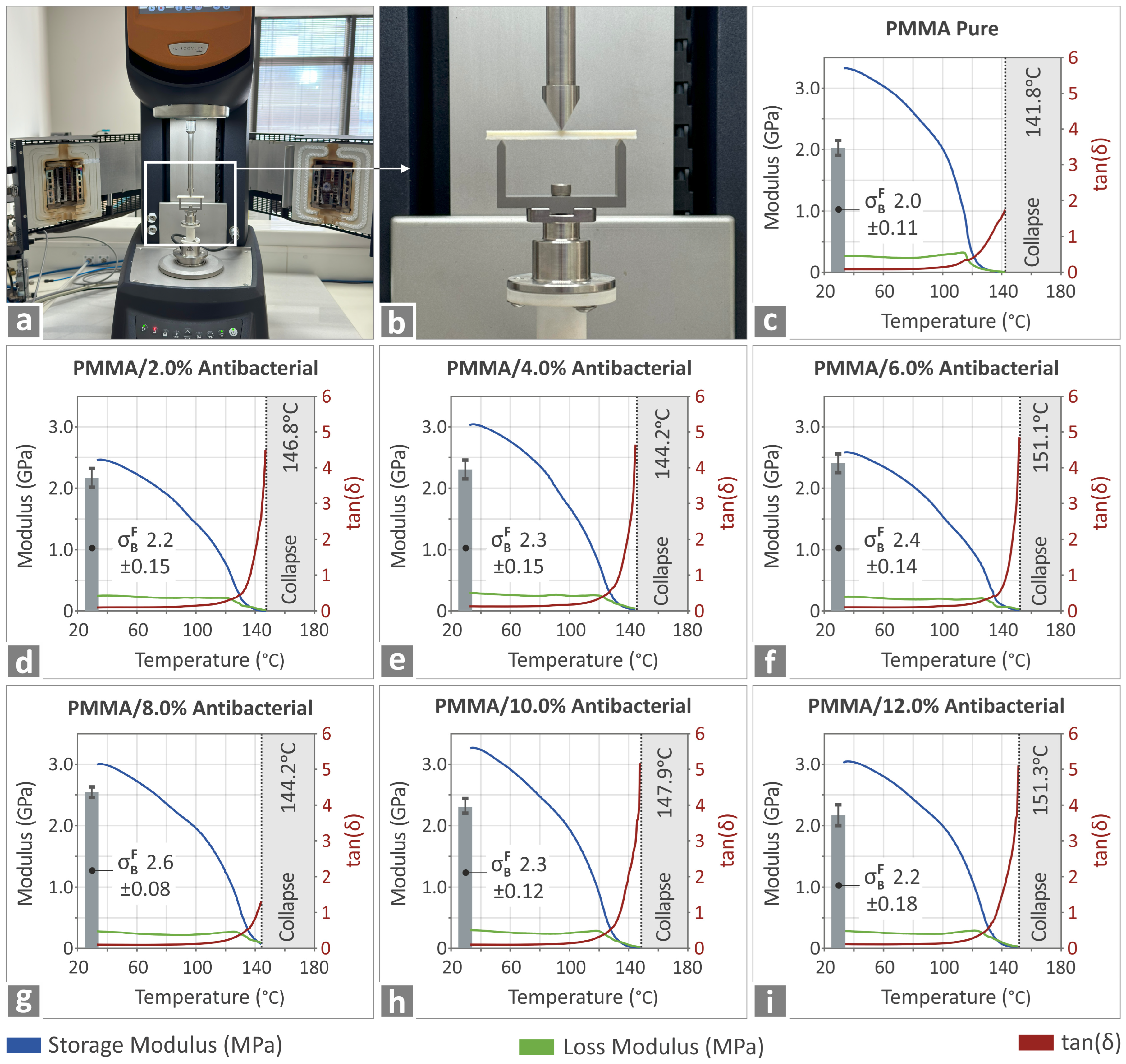 Polymers 17 00410 g006