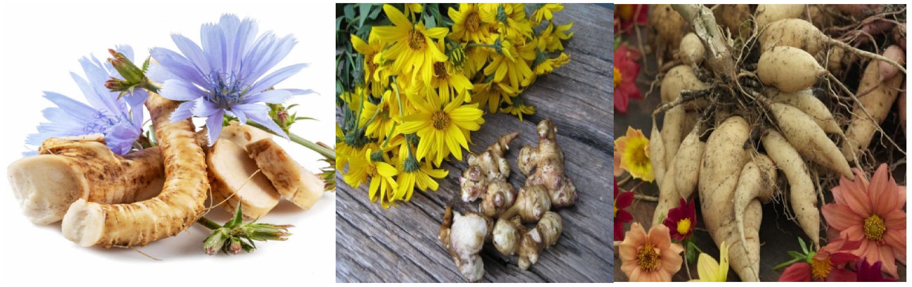 Polymers 17 00412 g001