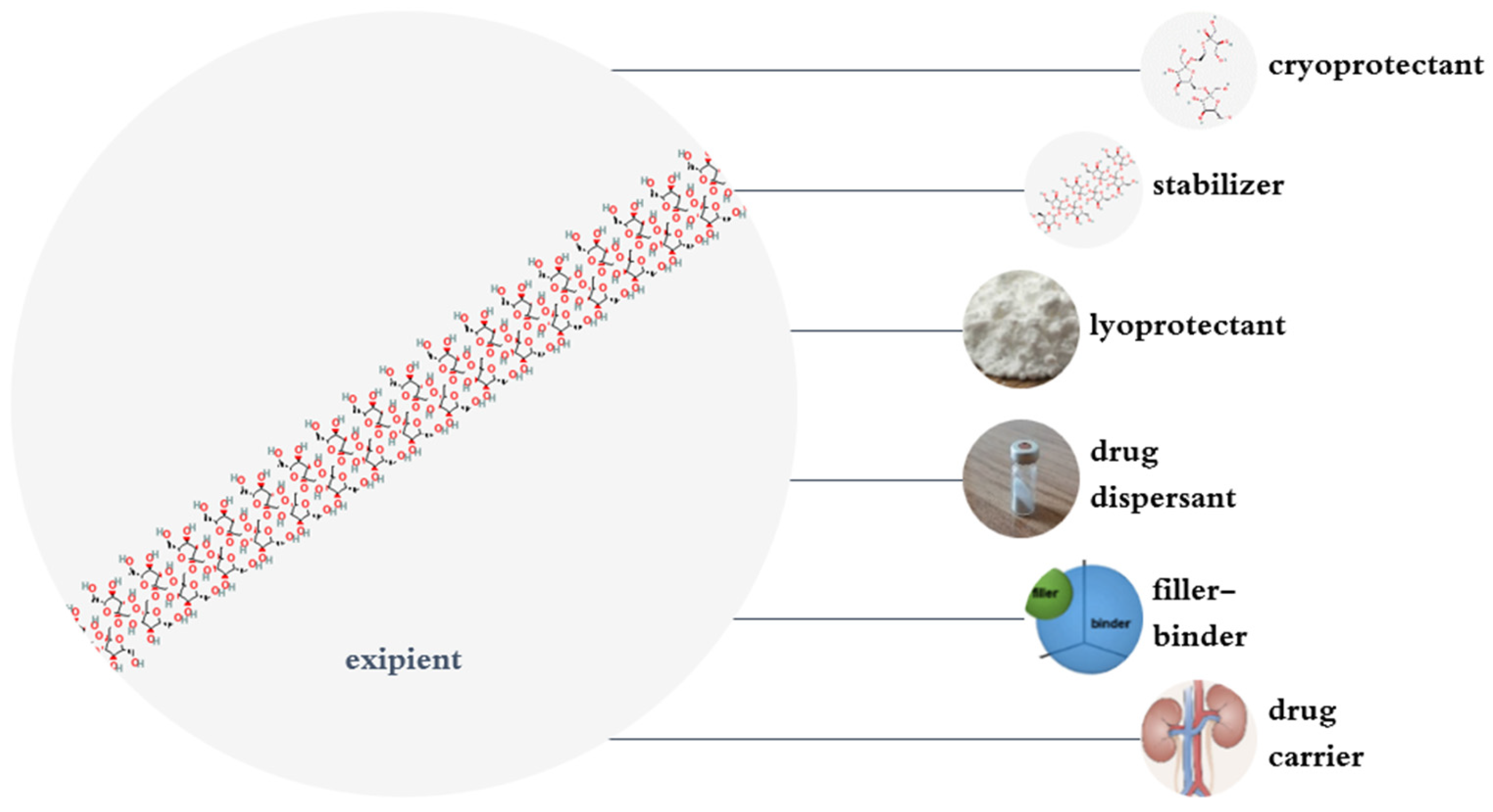 Polymers 17 00412 g003