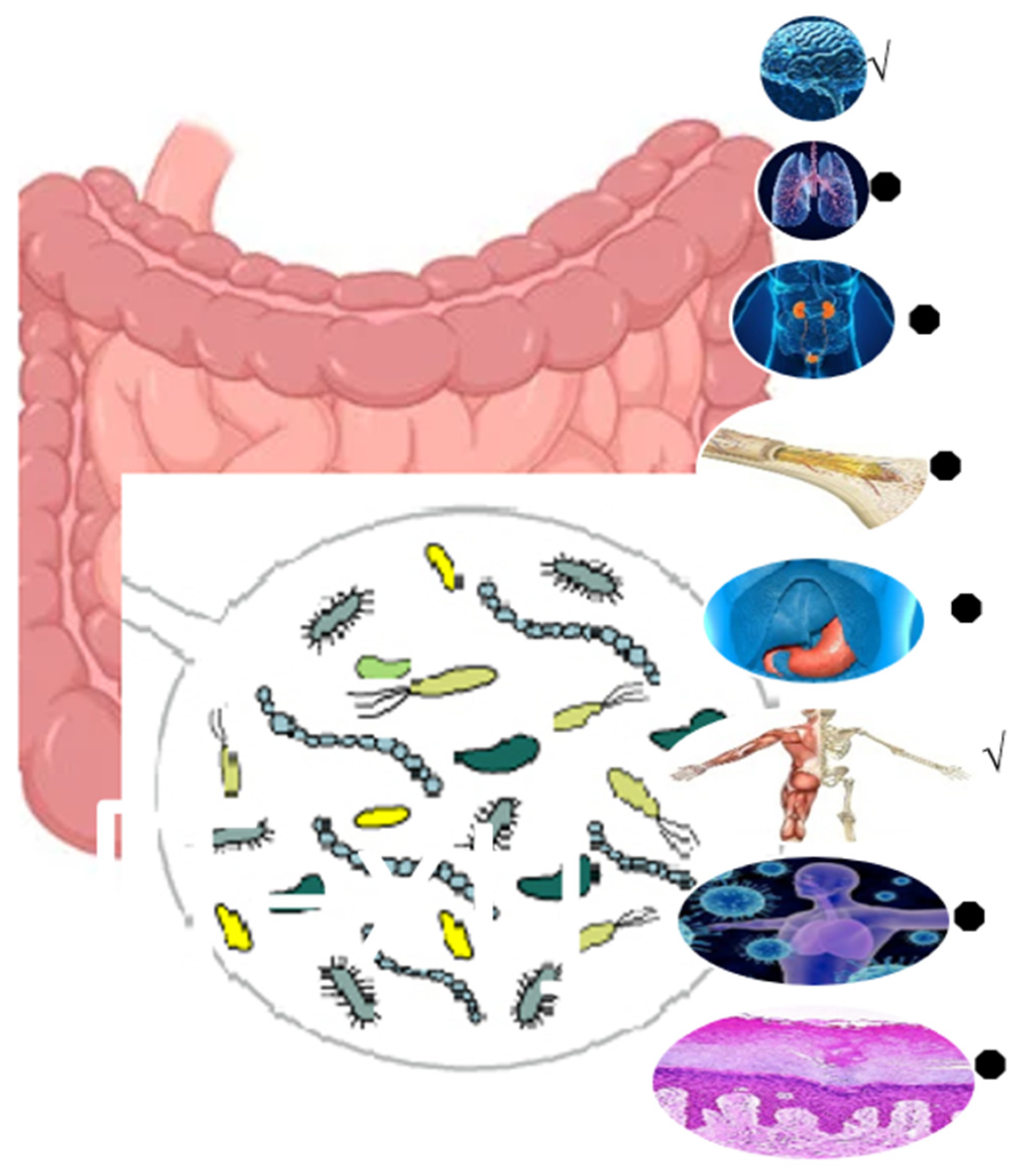 Polymers 17 00412 g006