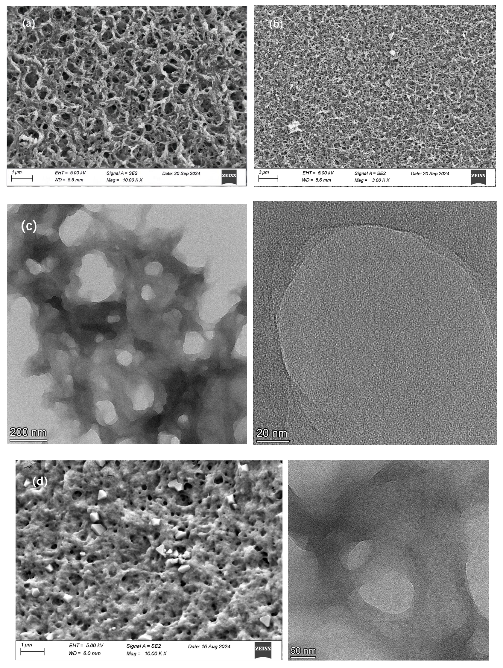 Polymers 17 00414 g006