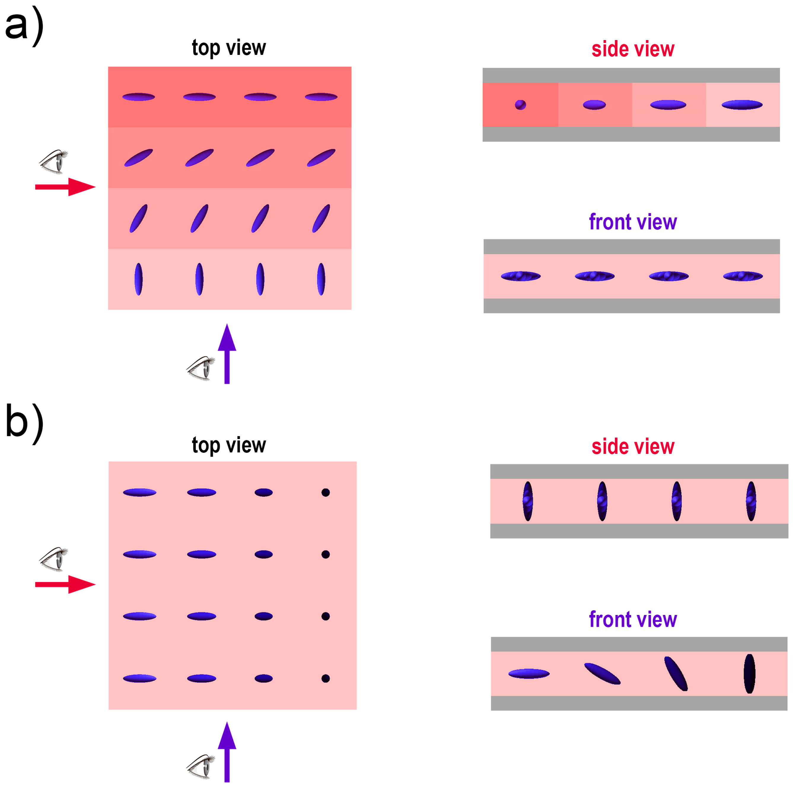 Polymers 17 00418 g002a