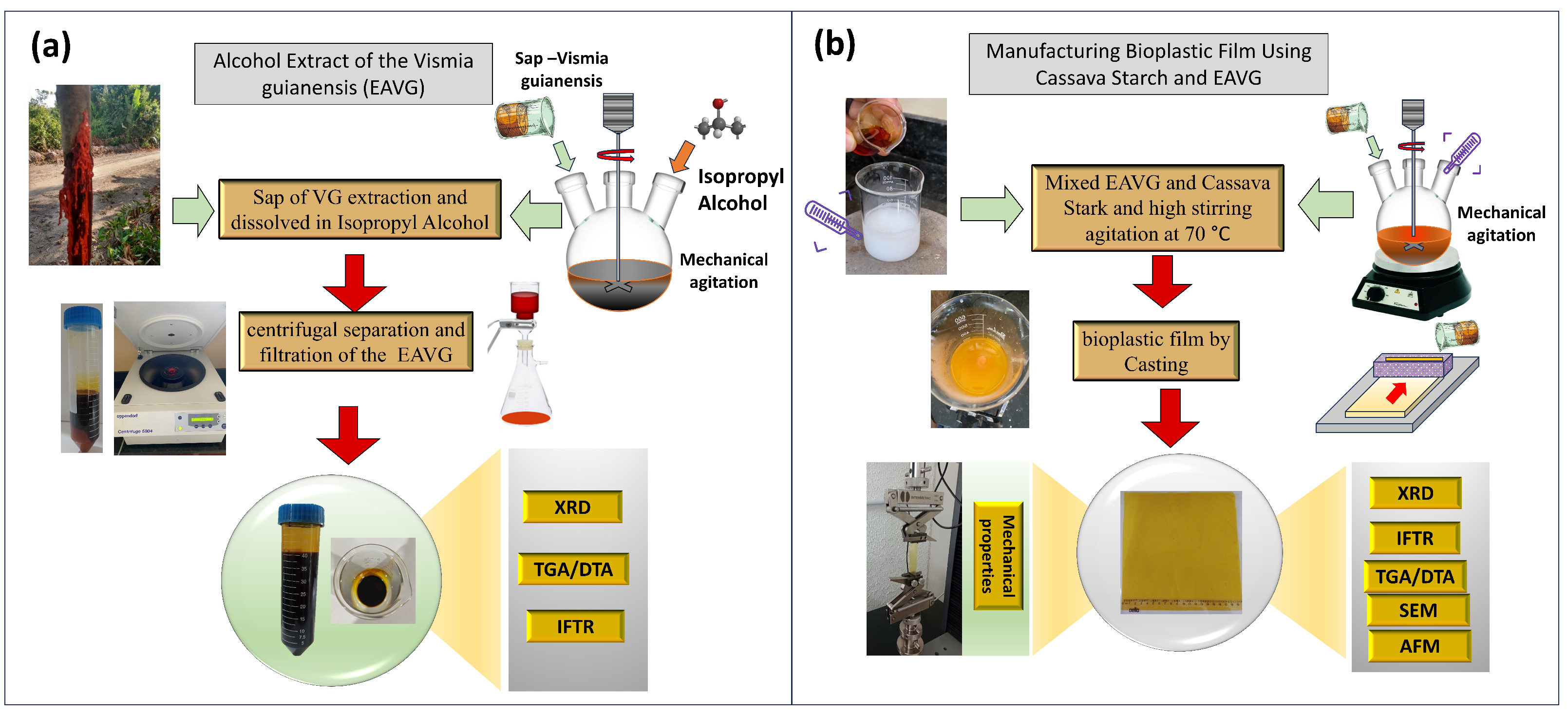 Polymers 17 00419 g002