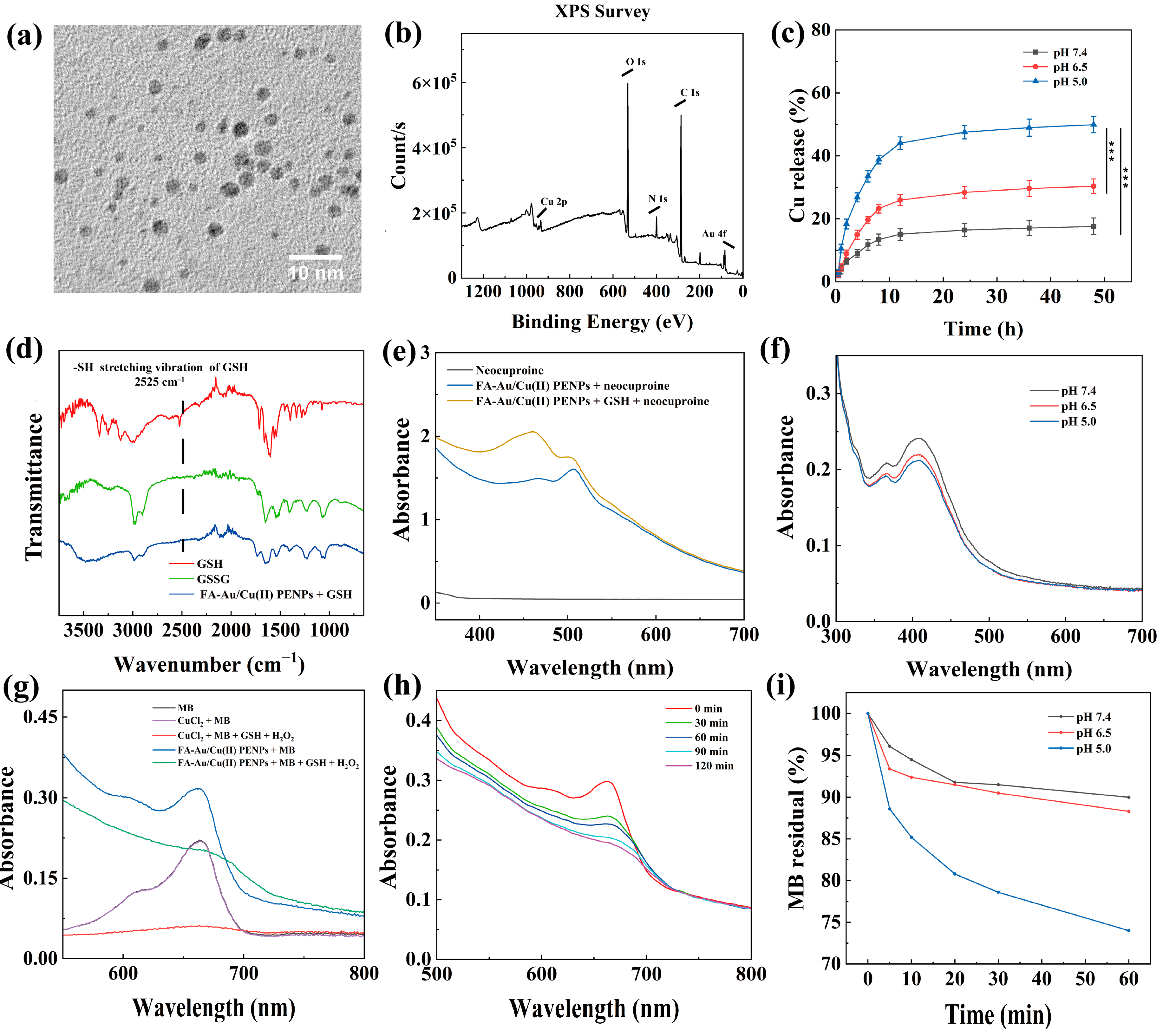 Polymers 17 00423 g002