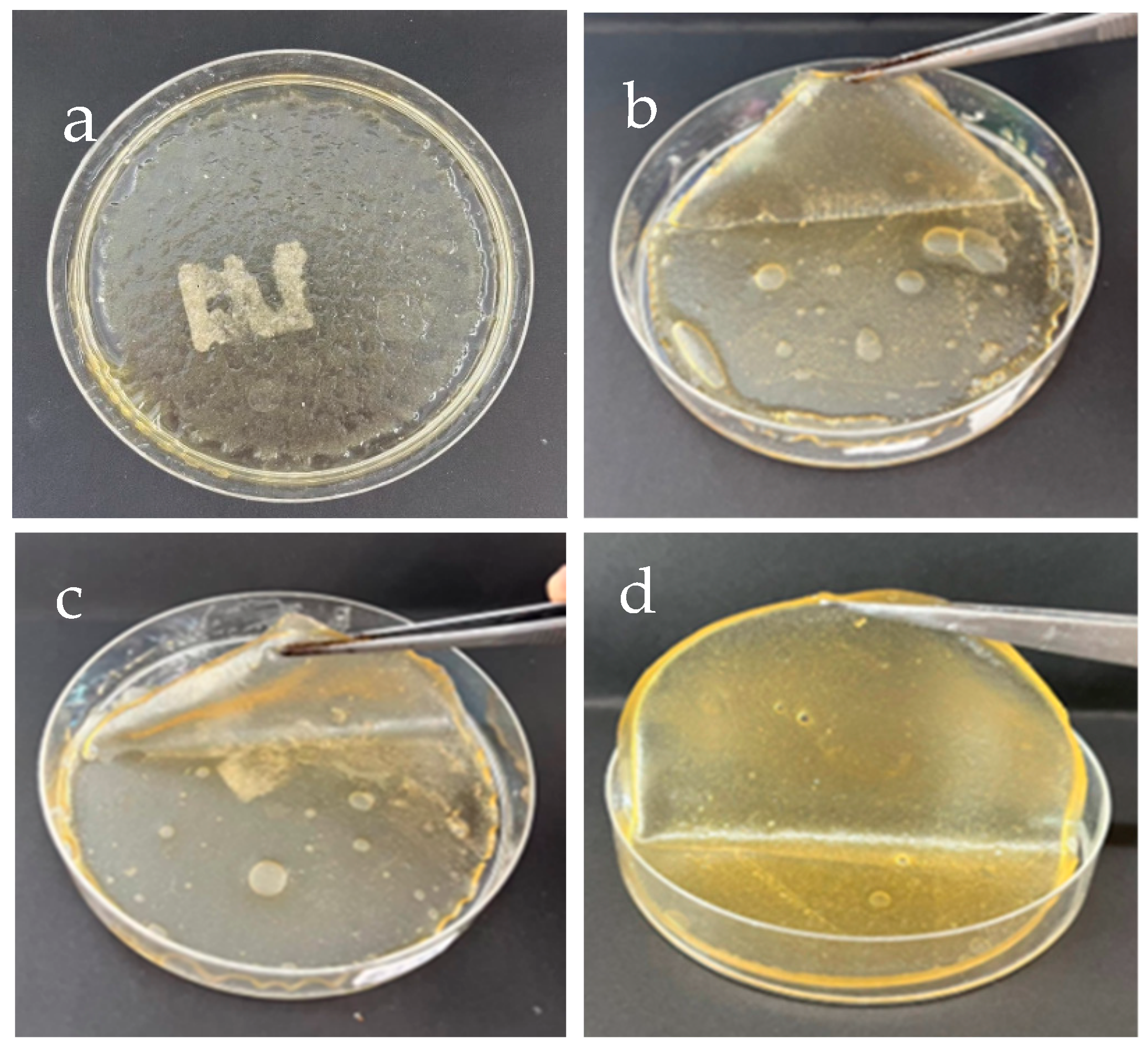 Polymers 17 00425 g001