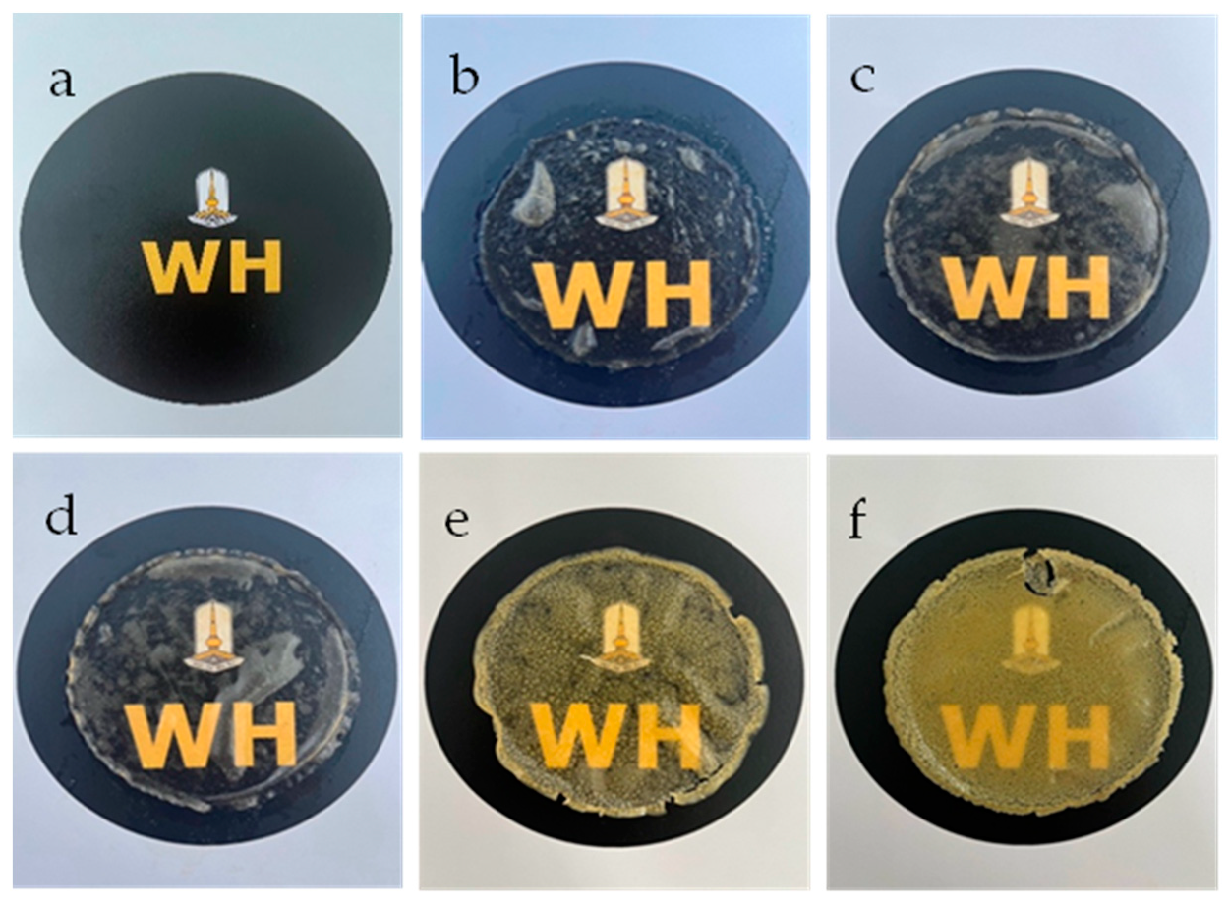 Polymers 17 00425 g003