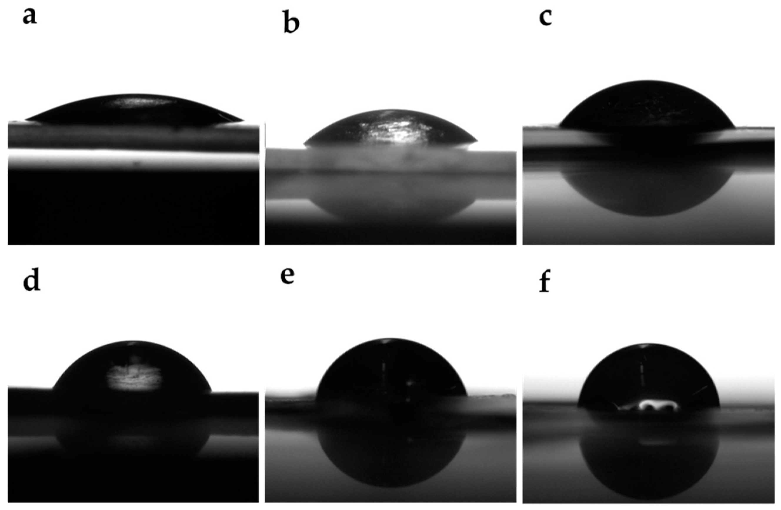 Polymers 17 00425 g004
