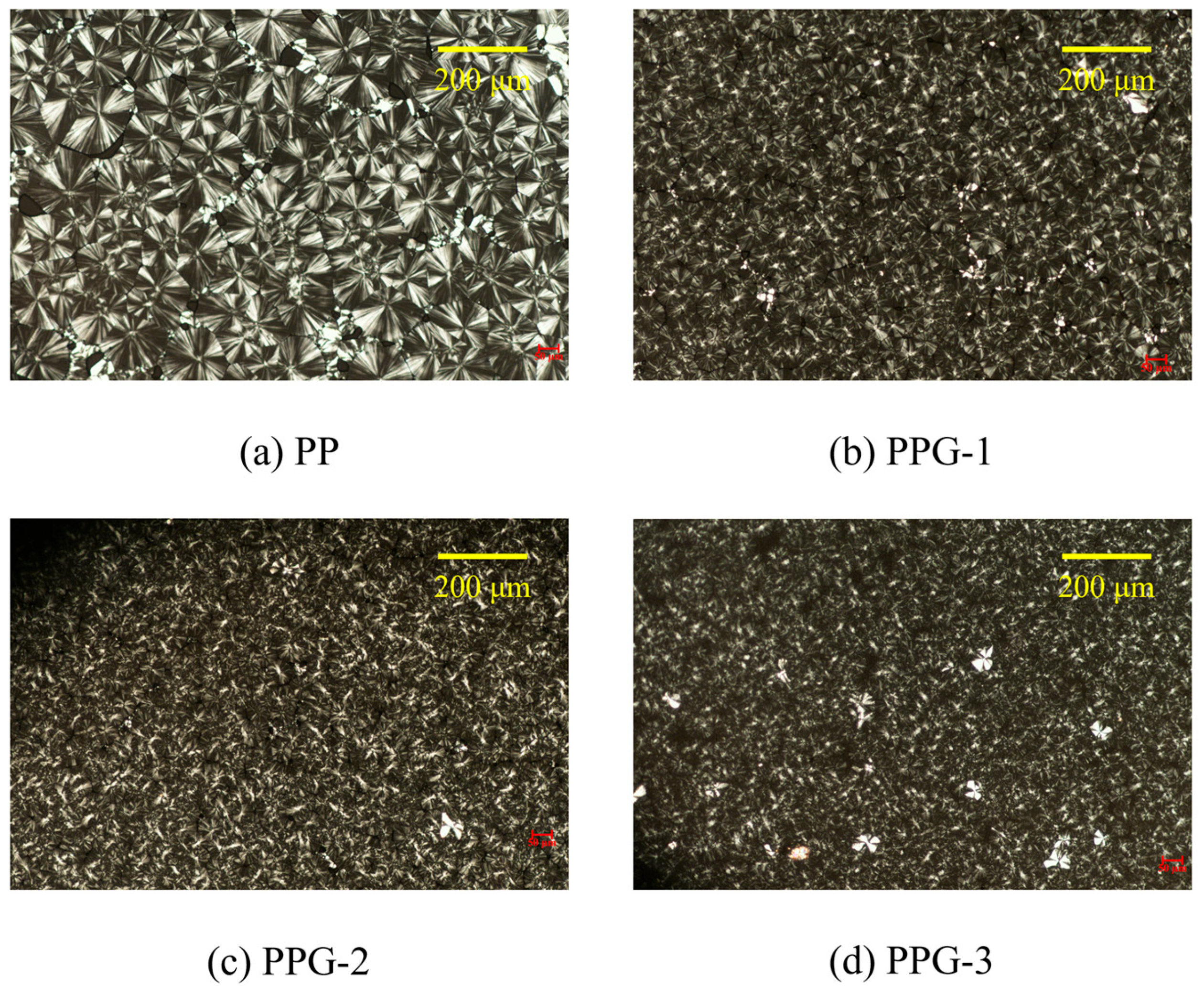 Polymers 17 00430 g004
