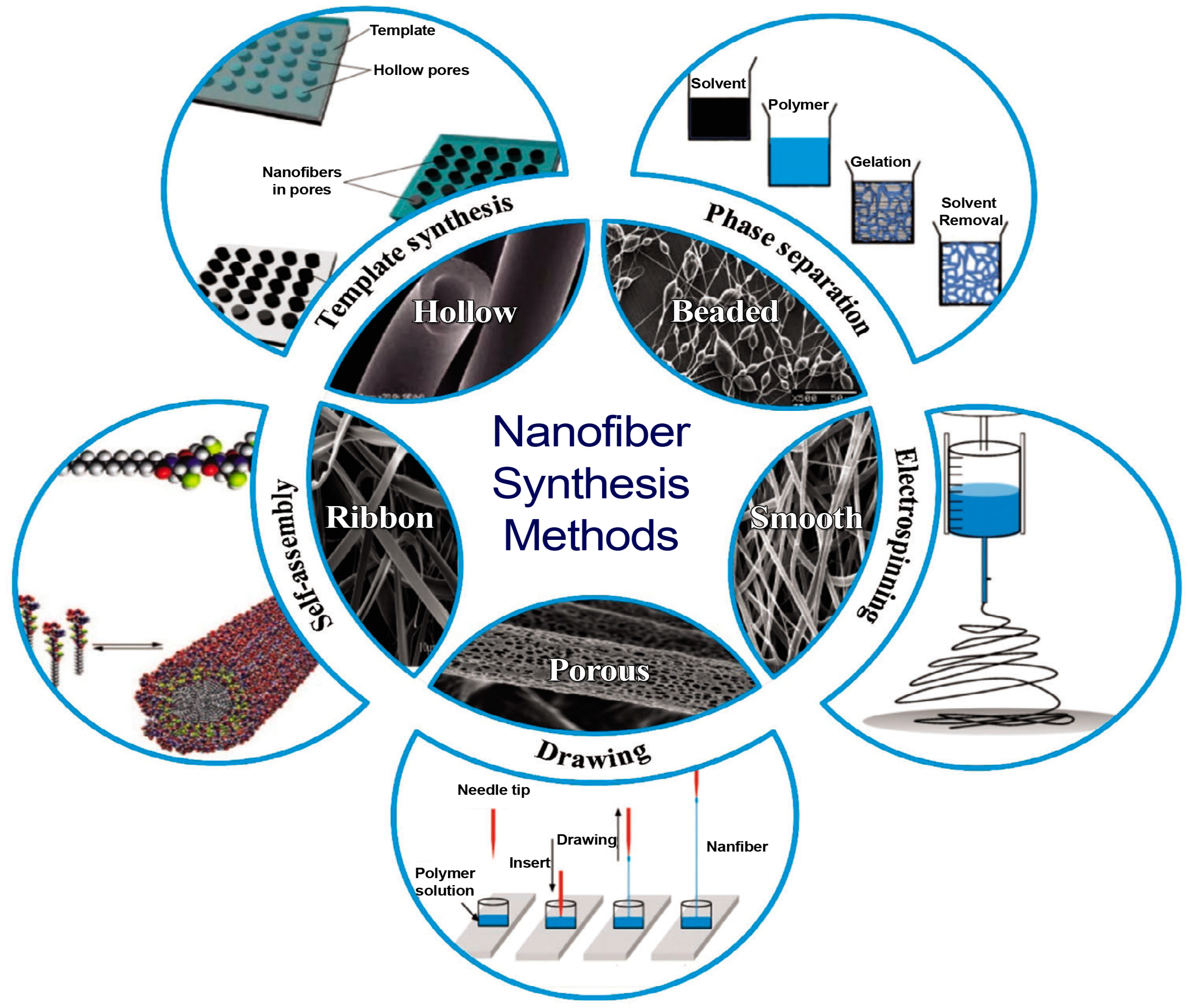 Polymers 17 00435 g002