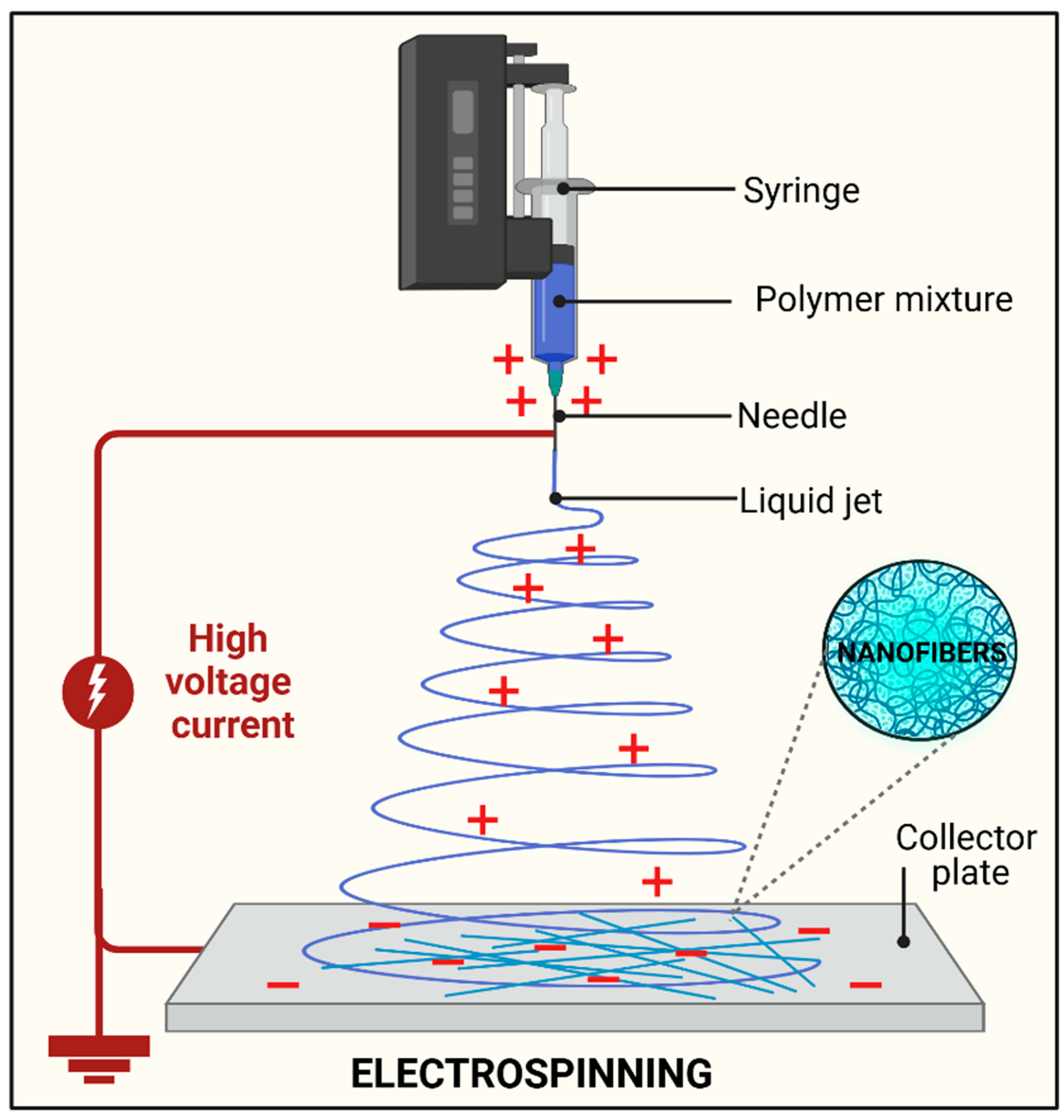 Polymers 17 00435 g003