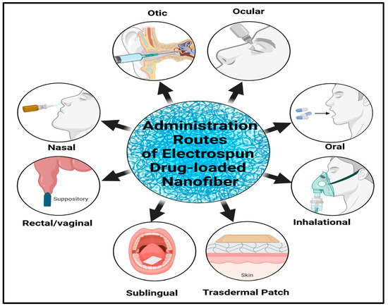 ソフト Potential of Chitosan/Gelatin-Based Nanofibers in Delivering