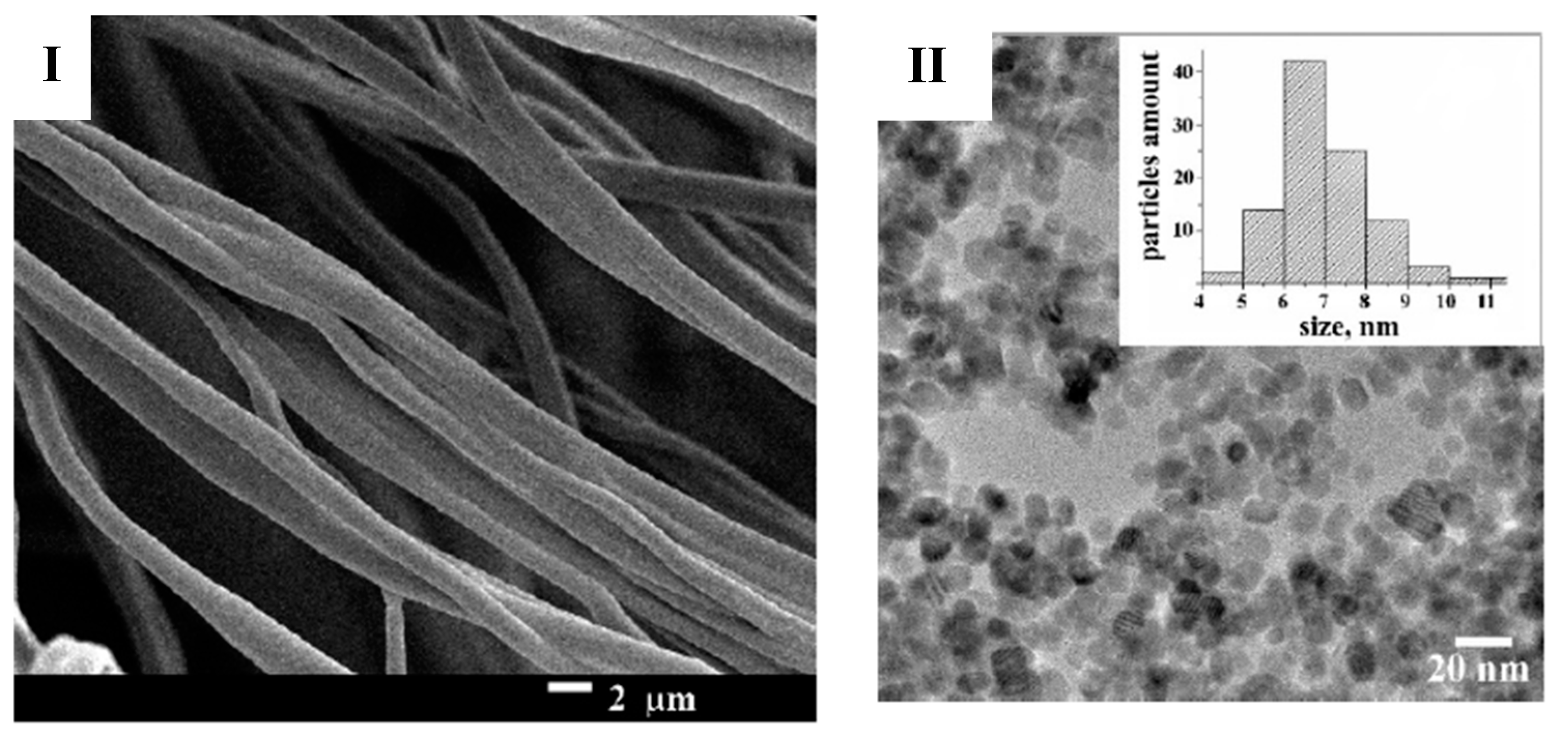 Polymers 17 00435 g007
